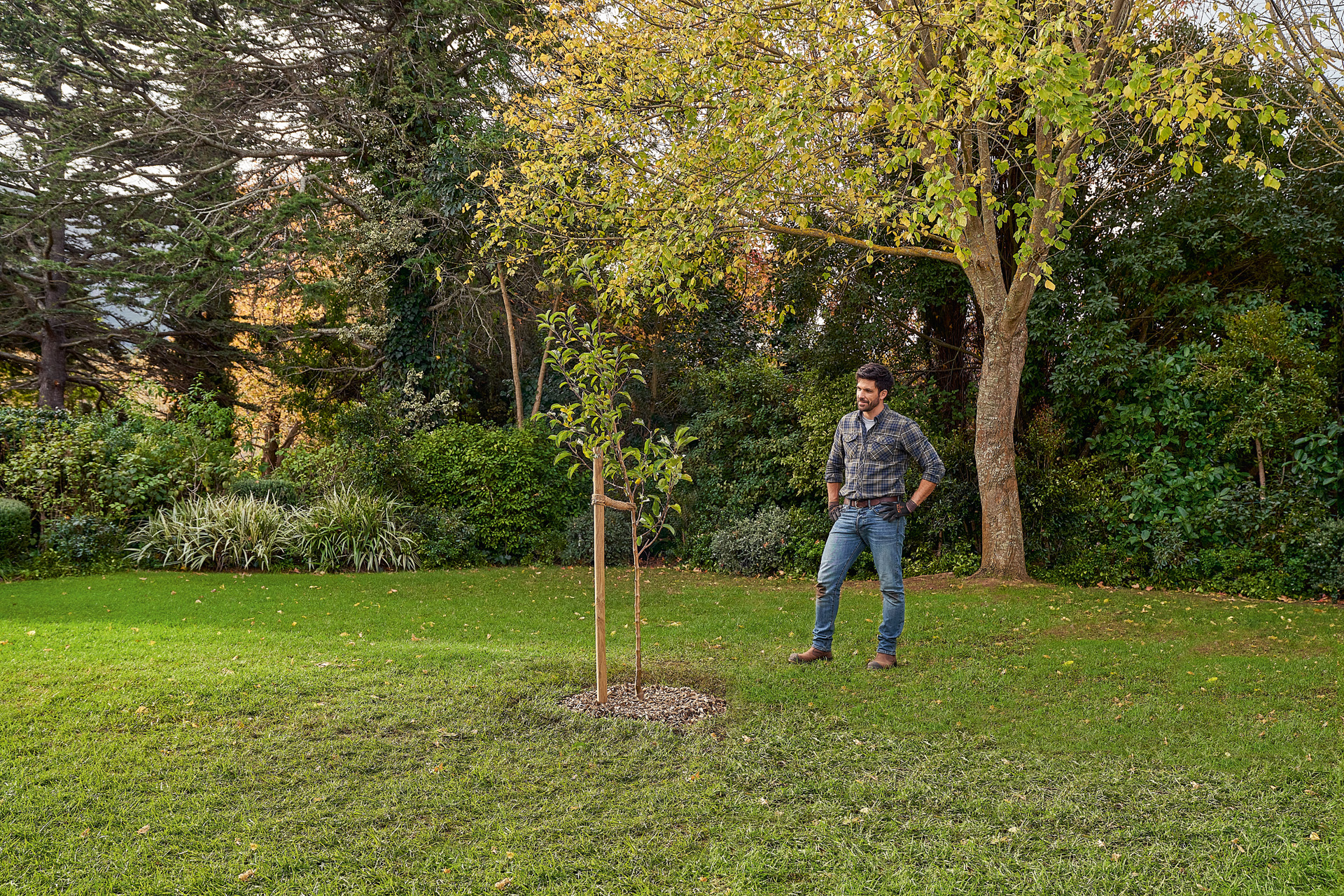 Ein Mann steht im Garten neben einem neu gepflanzten Baum