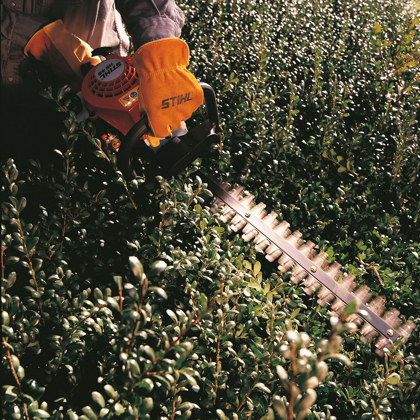 HS 45 BenzinHeckenschere online kaufen STIHL
