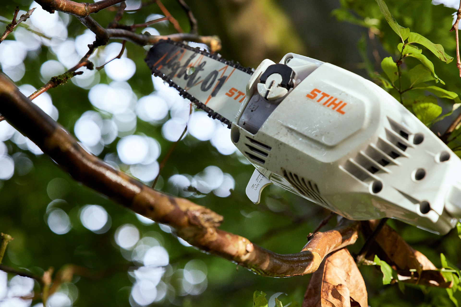 59+ Hochentaster Stihl Akku, Für die komfortable pflege mittelhoher