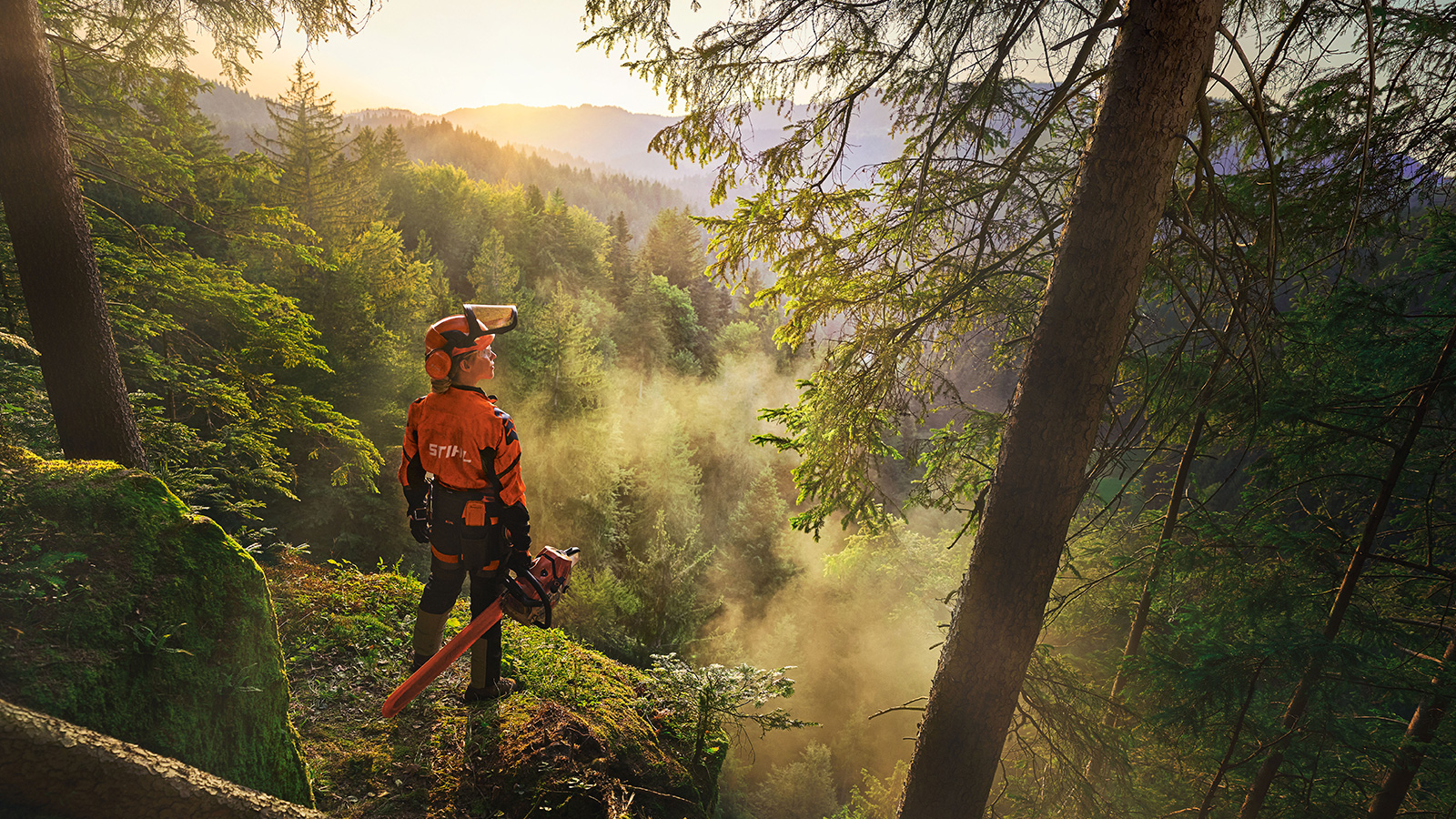 Ein Arbeiter blickt mit einer Kettensäge in der Hand in den Wald.