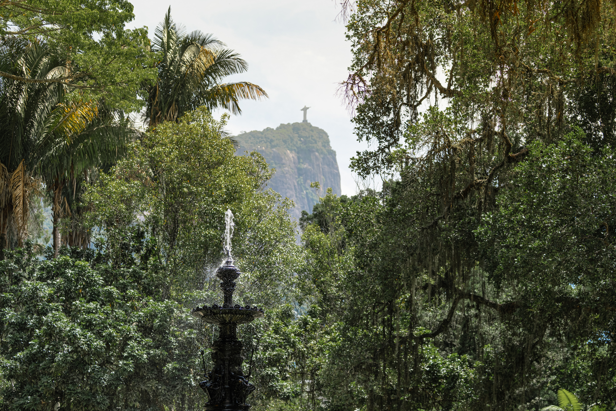 Botanischer Garten Rio de Janeiro
