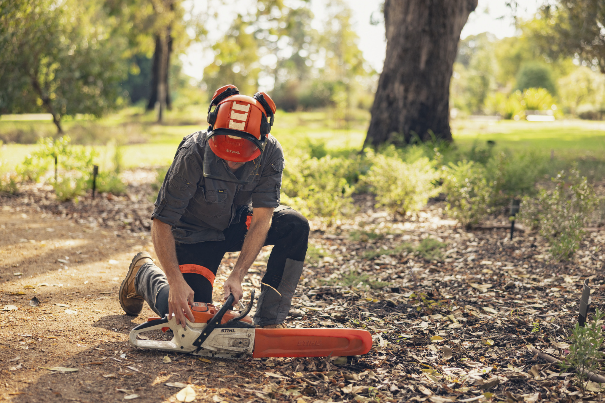 Charlie Carroll kniet in Schutzkleidung auf dem Boden und sägt einen Baumstamm mit einer Akku-Kettensäge durch 
