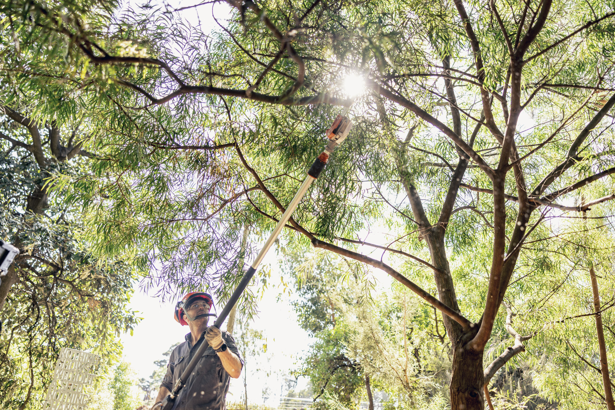 Charlie Carroll, Manager für Baumpflege, sägt einen Ast mit einer HTA-Akku-Astschere ab