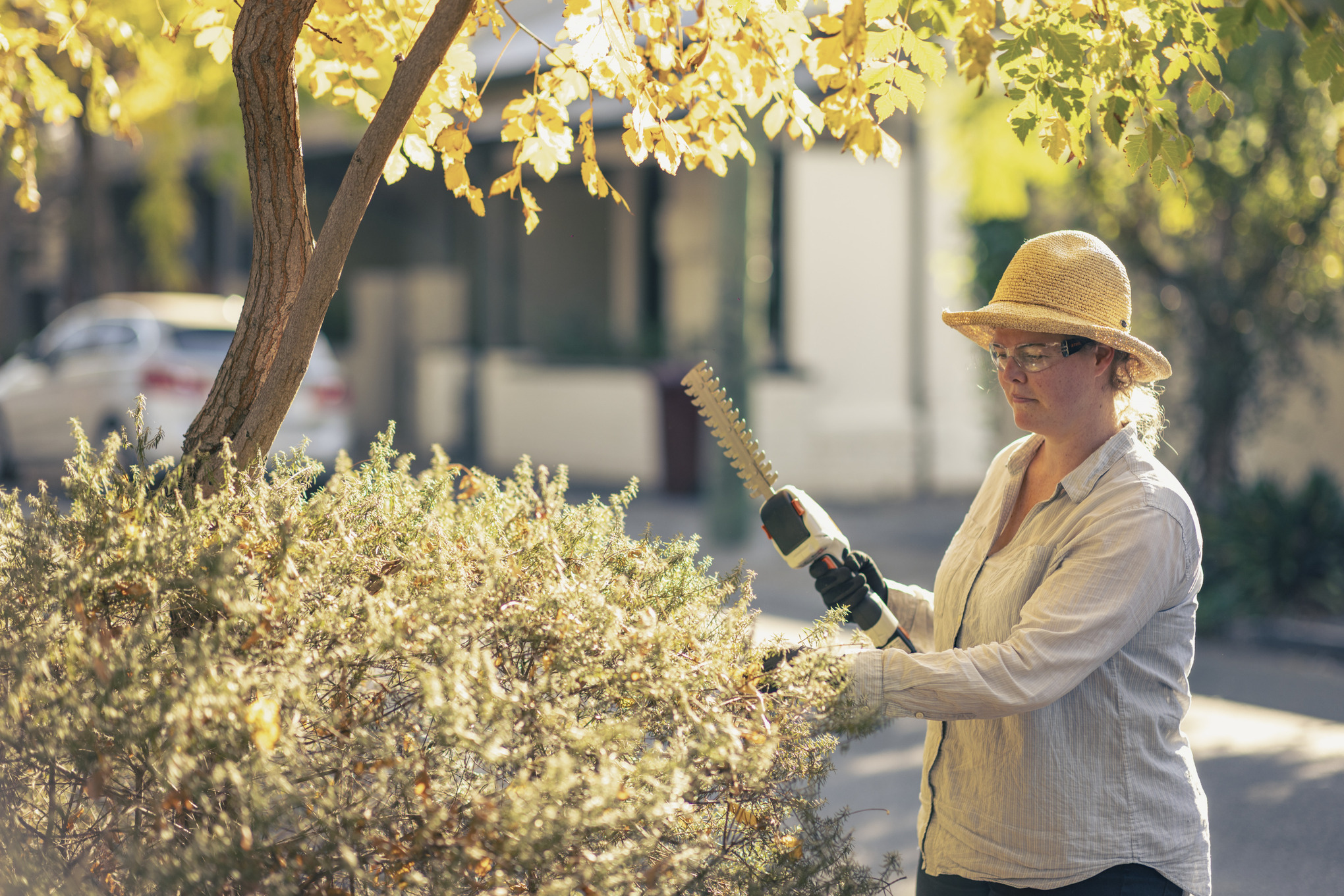 Frau mit Arbeitshandschuhen und Strohhut schneidet eine Hecke mit der STIHL Akku-Heckenschere