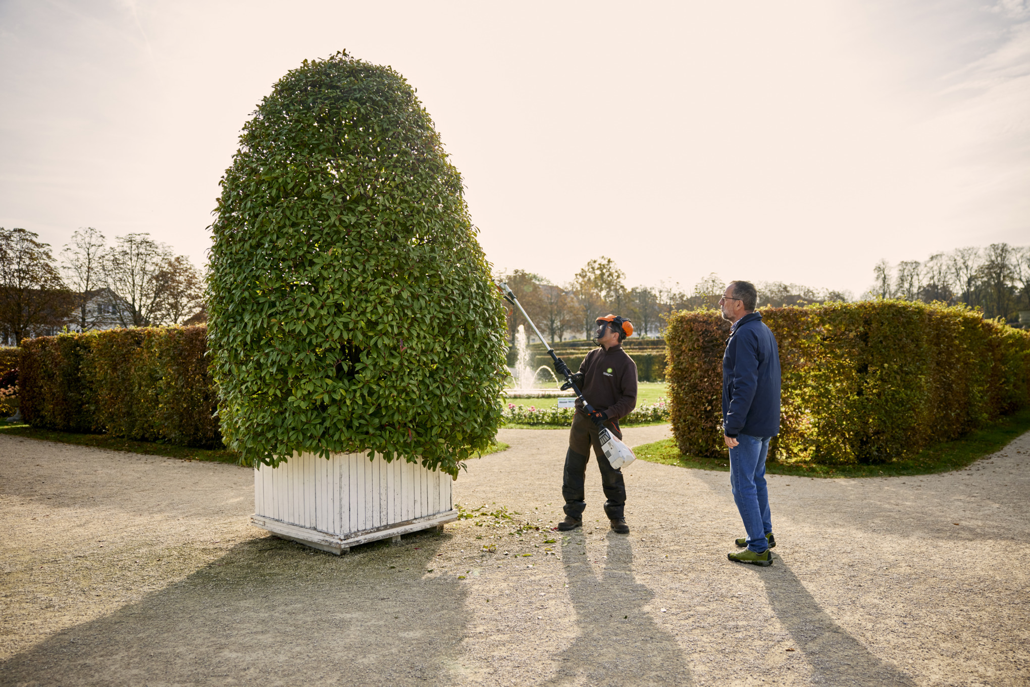 Ein Mann in Sicherheitskleidung schneidet Äste von einem Baum, der in einem Pflanzkübel wächst. Volker Kugel beobachtet seine Arbeit