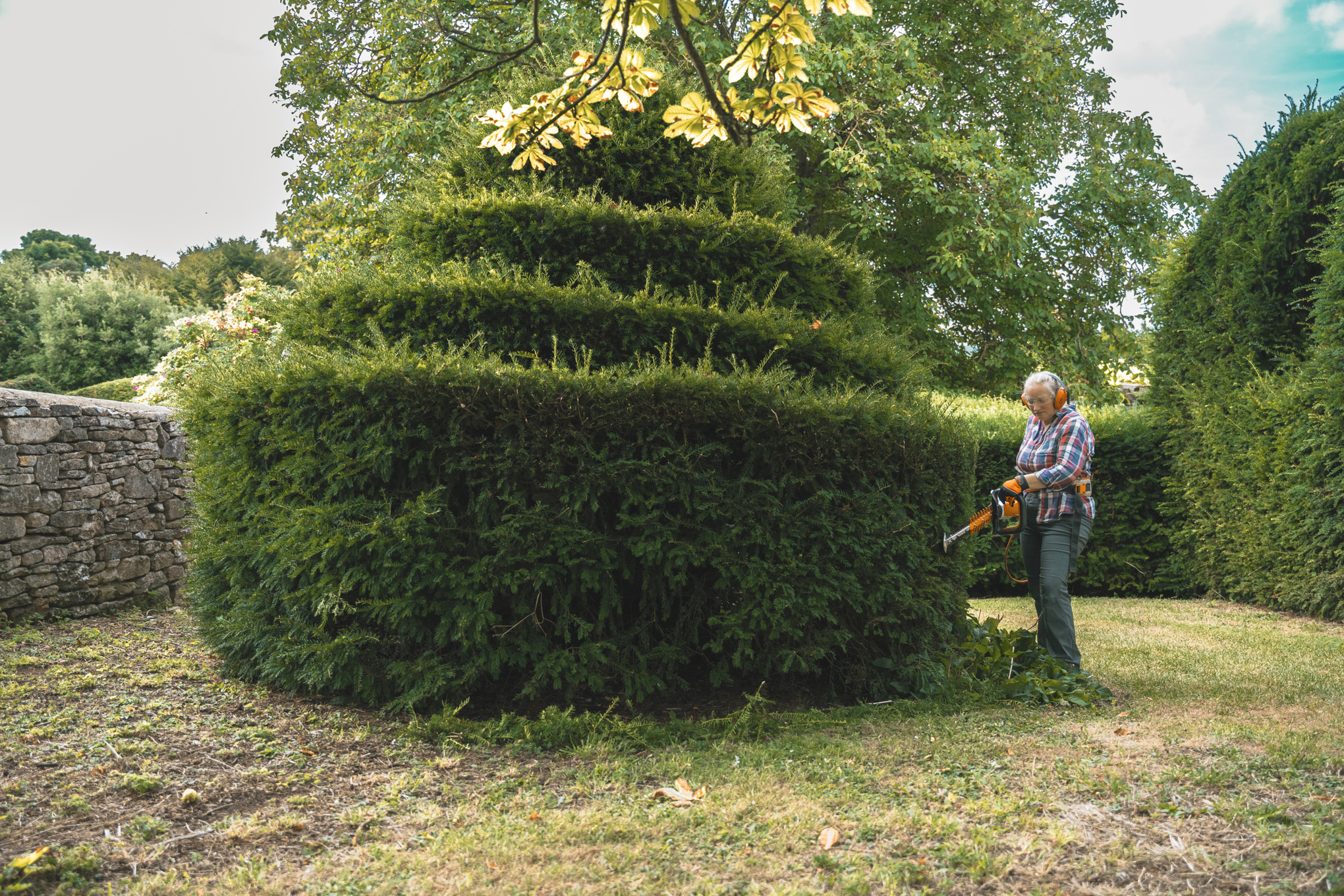 Die Nachfolgerin des Gärtners von Euridge Manor, Aldetha Raymond, schneidet die Hecke wieder in Form