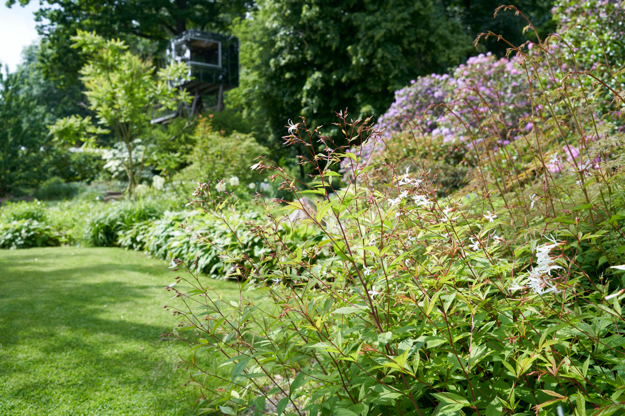 Hanggarten mit Dreiblattspiere