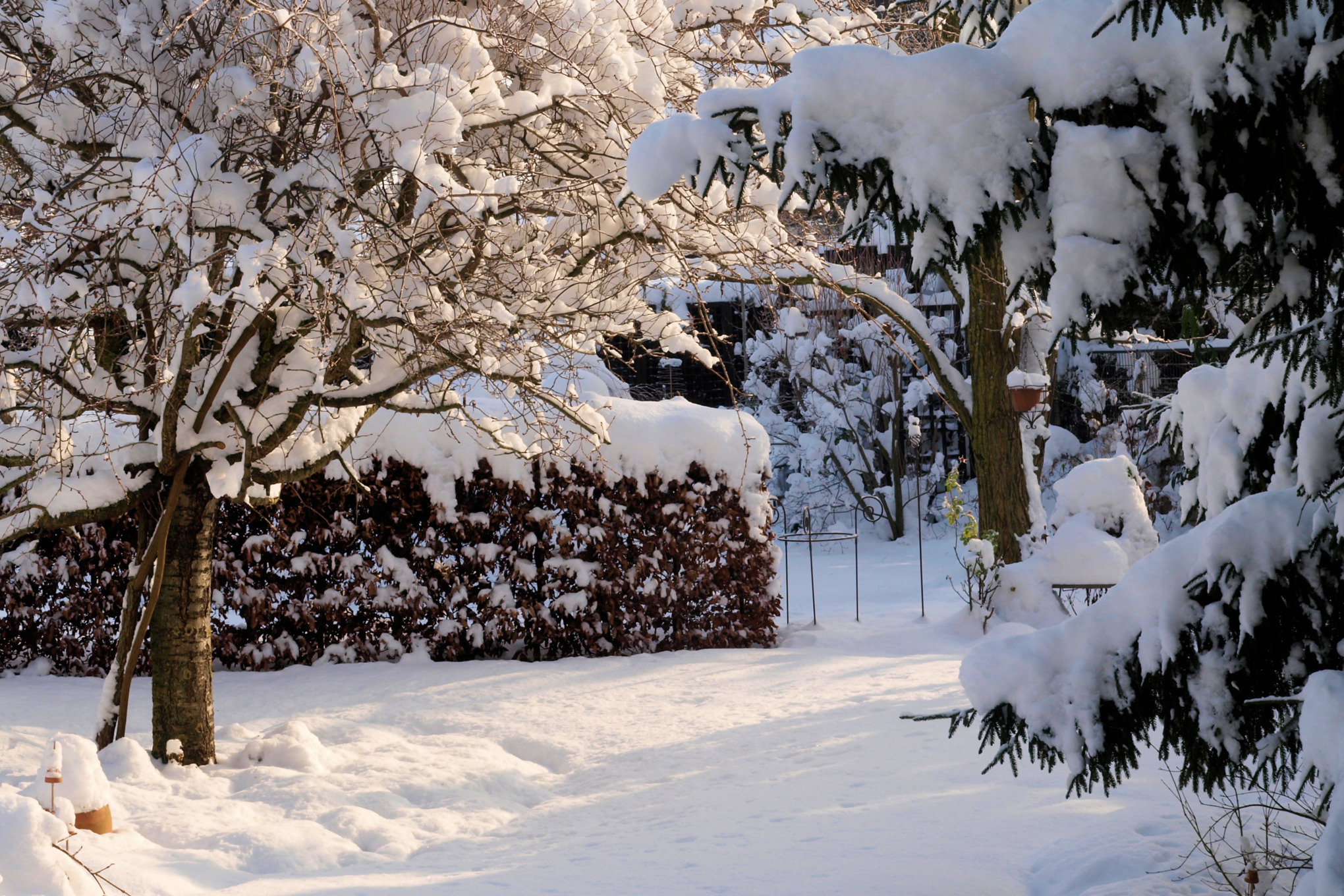 Schneebedeckter Garten
