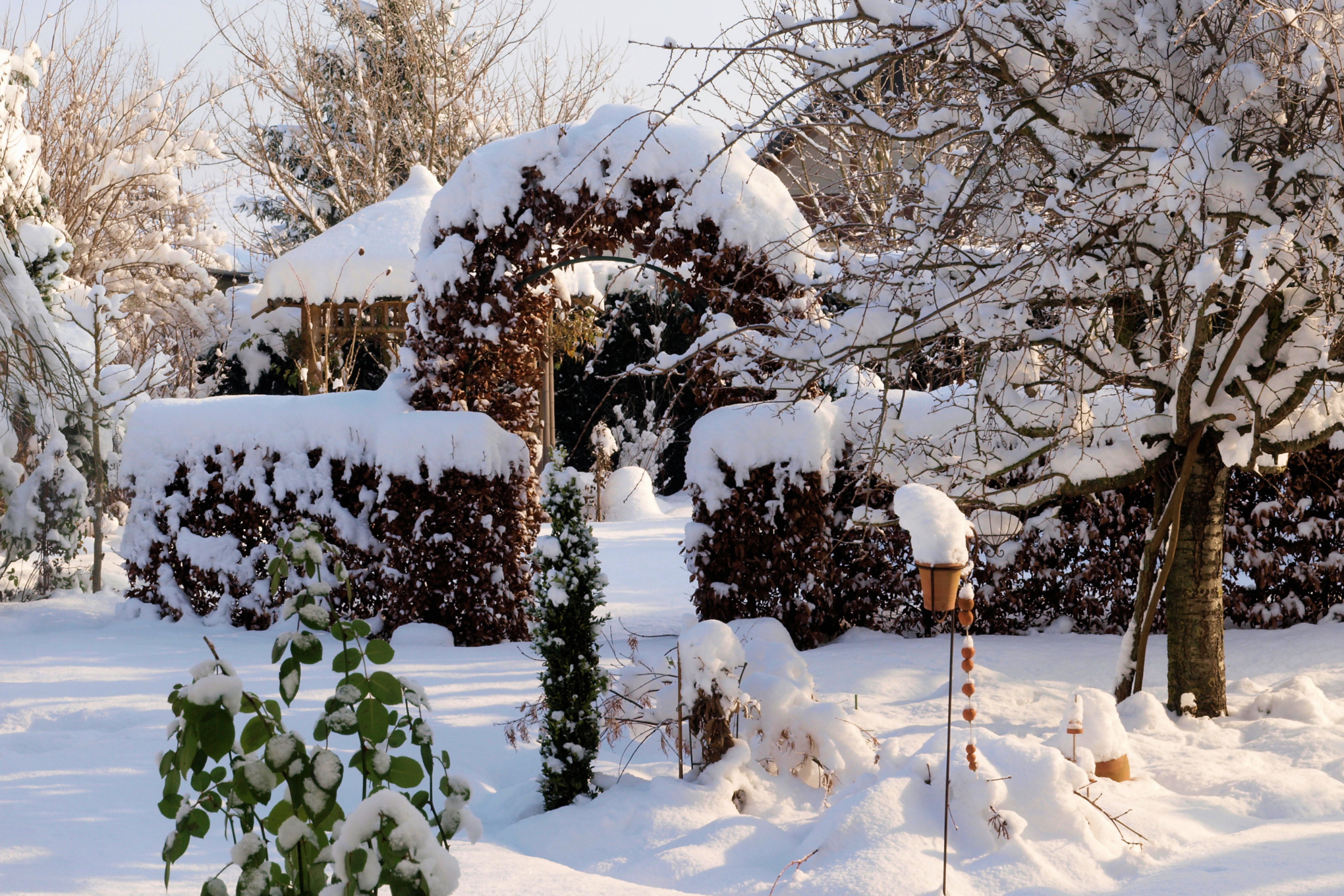 Winterharte Pflanzen unter einer Schneedecke in einem Garten