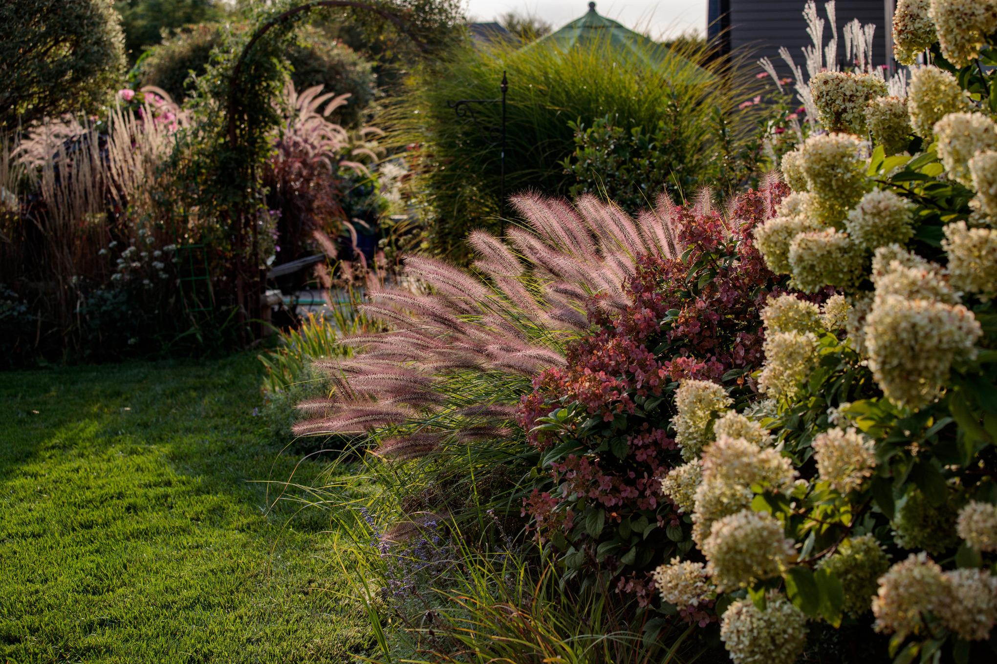 Ziergräser und blühende Sträucher an einer Rasenfläche, im Hintergrund ein bepflanzter Bogen und ein Gartenhaus  