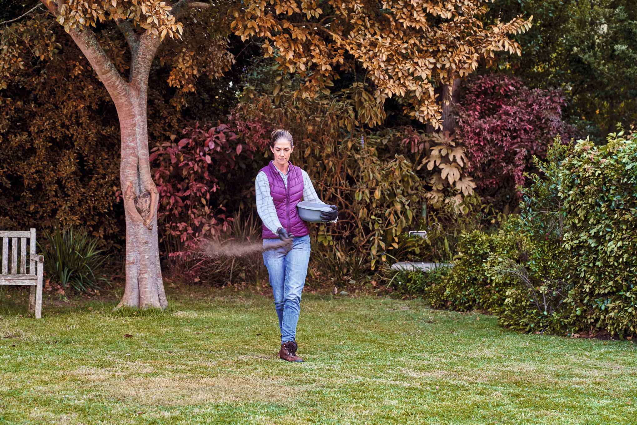 Bei der Rasenpflege im Herbst behandelt eine den Rasen in ihrem Garten mit Herbstdünger