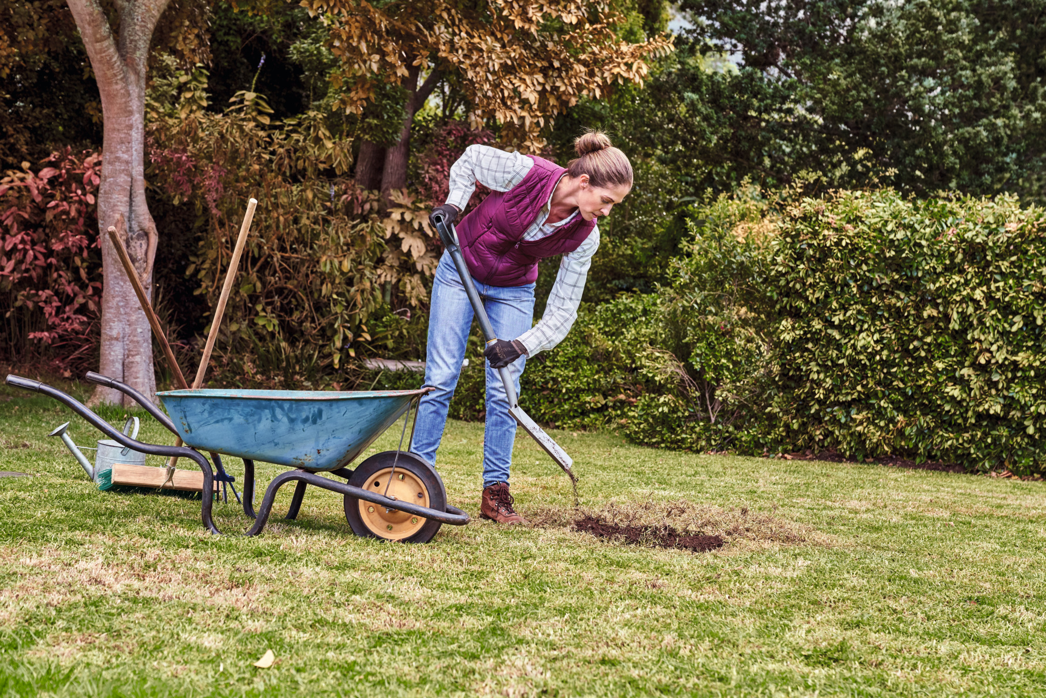  Bei der Rasenpflege im Herbst schaufelt eine Frau Erde aus einer Schubkarre, um Schäden im Rasen auszubessern