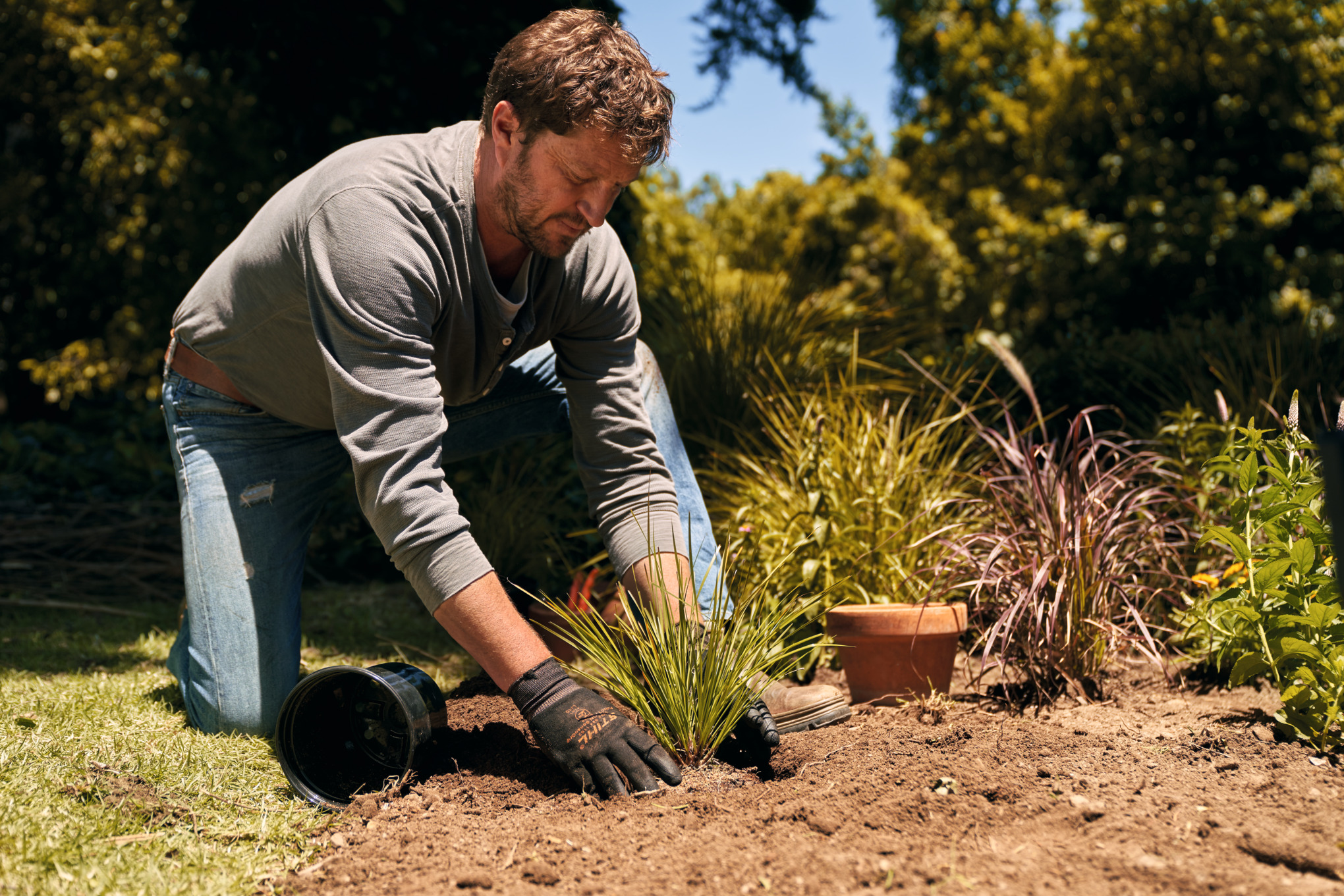 Grser richtig pflanzen und pflegen | STIHL