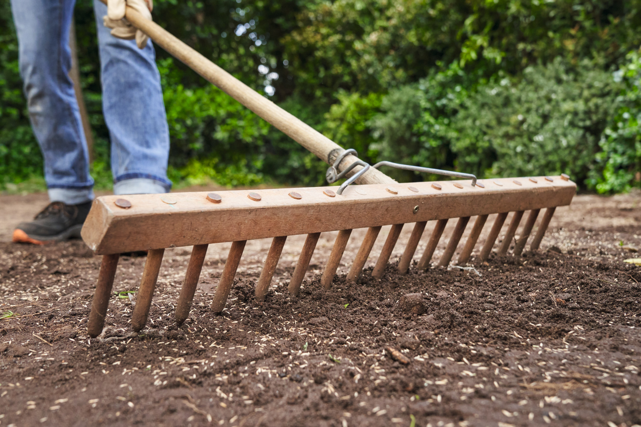 Rasen anlegen & Rasen sen: Anleitung | STIHL