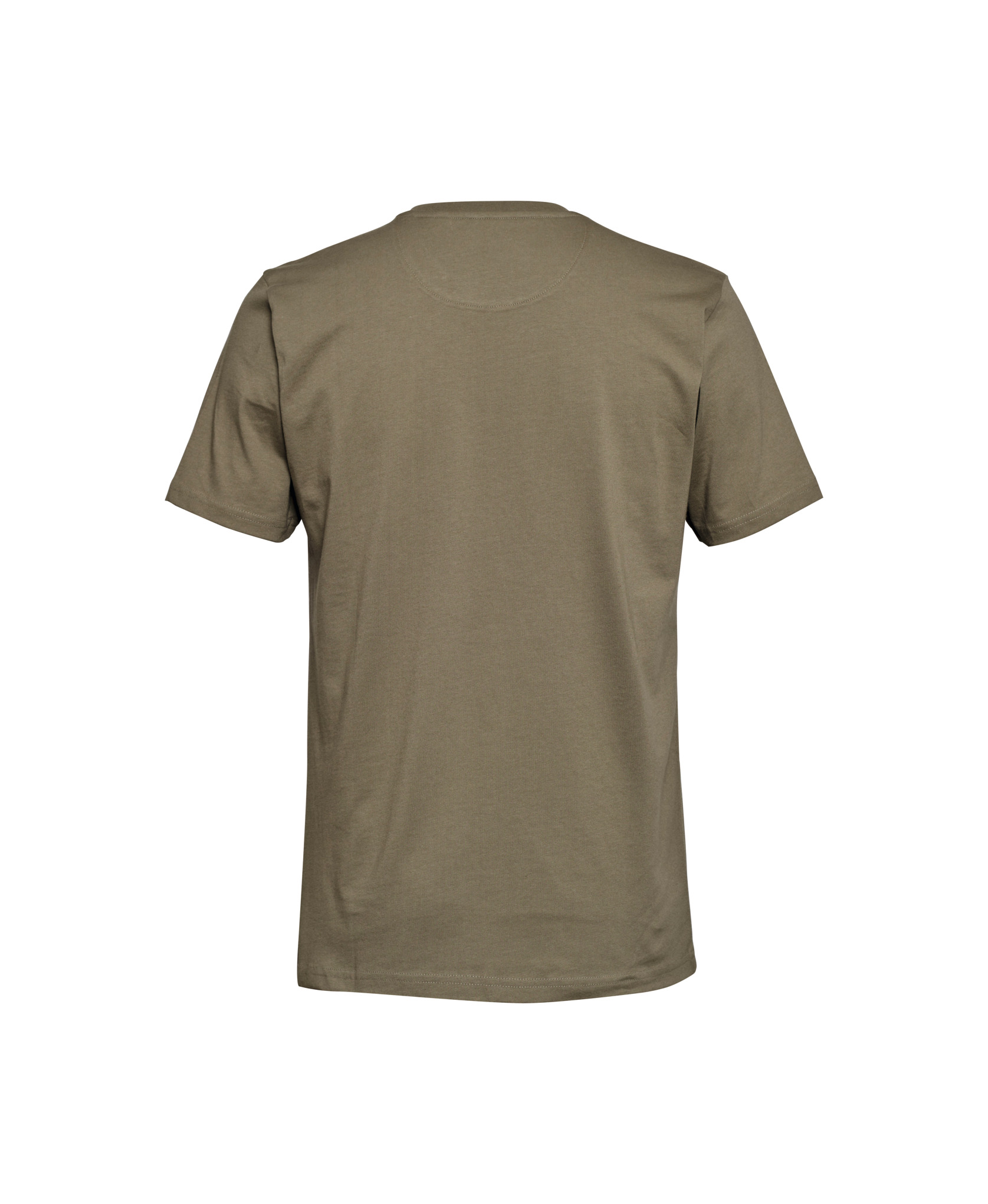 T-Shirt SUSTAINABLE BASIC Grün