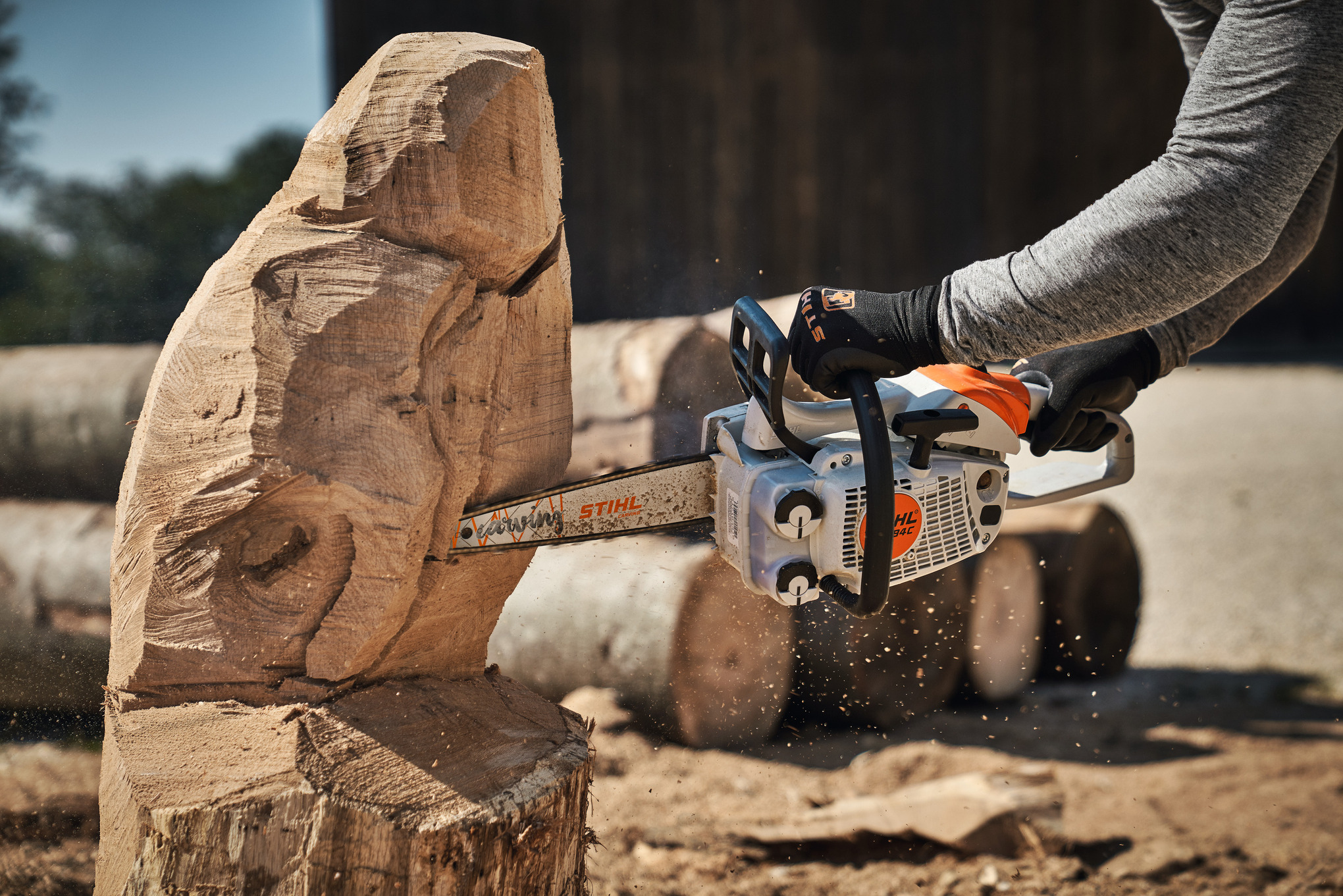 MS 194 C-E Carving Benzin-Carvingsäge kaufen