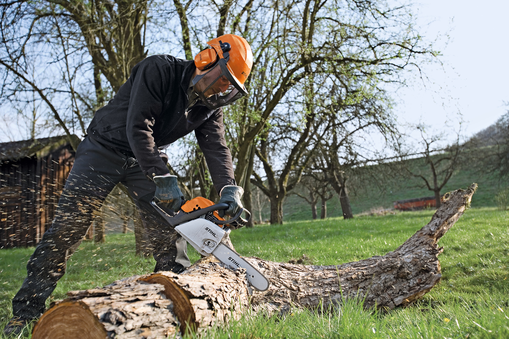 Пилим про. Stihl MS 211. Пила штиль для Валки леса. Спил дерева. Пилит дерево.