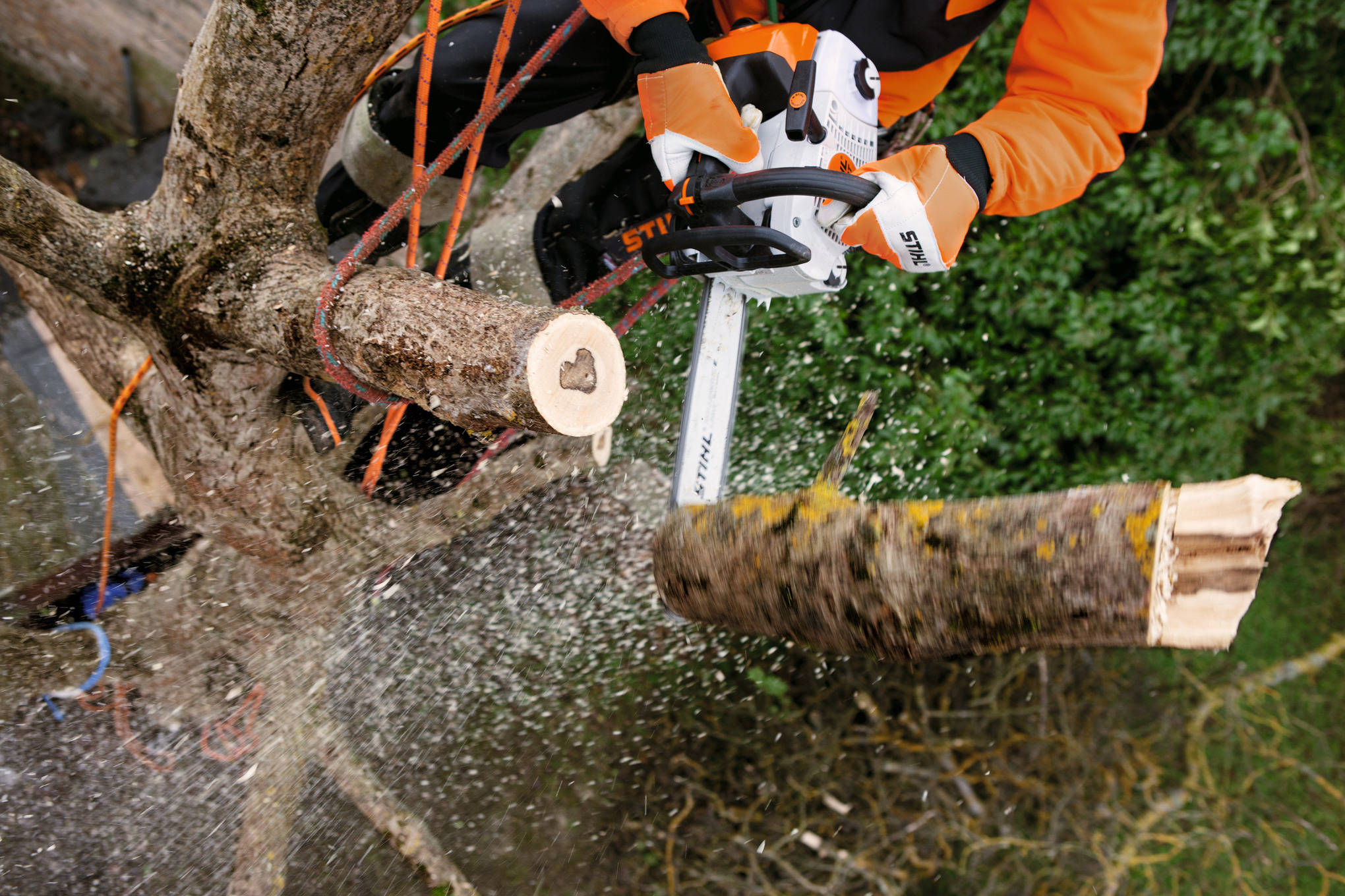 Neue Motorsäge STIHL MS 201: Die leichteste Profi-Säge von STIHL