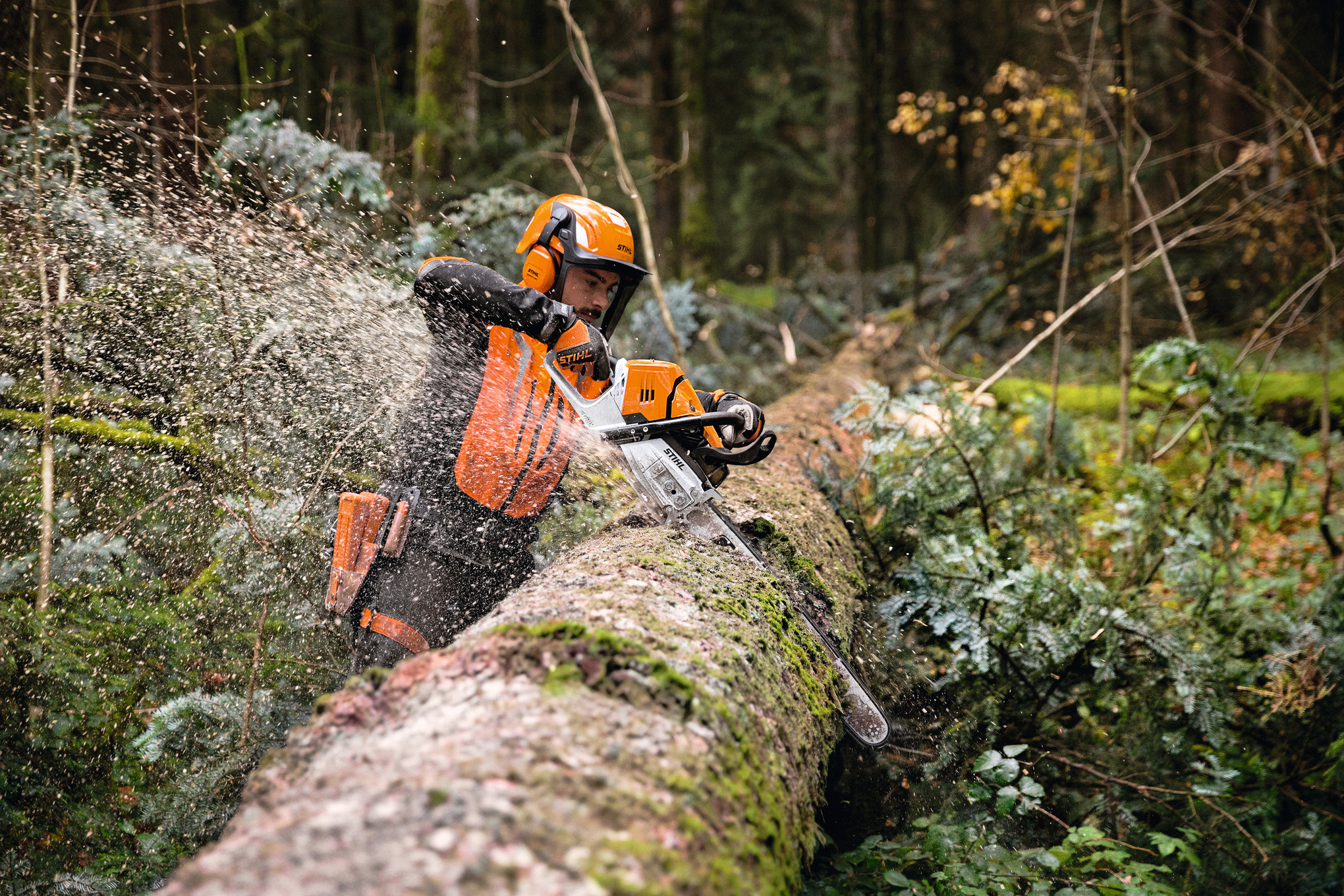 Stihl MS 500i Benzin-Kettensäge ab € 1470,00 (2024)