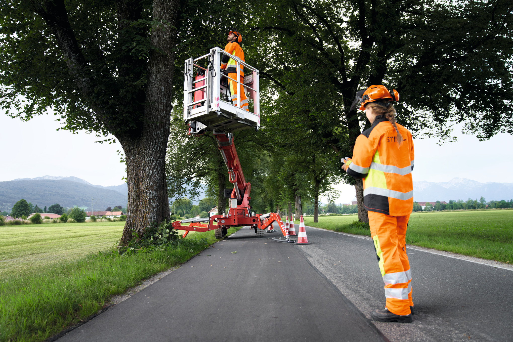 Ein Mann in Schutzausrüstung lässt sich für die Baumkontrolle mit einer Hebebühne in einen Baum an einer Landstraße hochfahren, auf der Straße befindet sich eine Mitarbeiterin