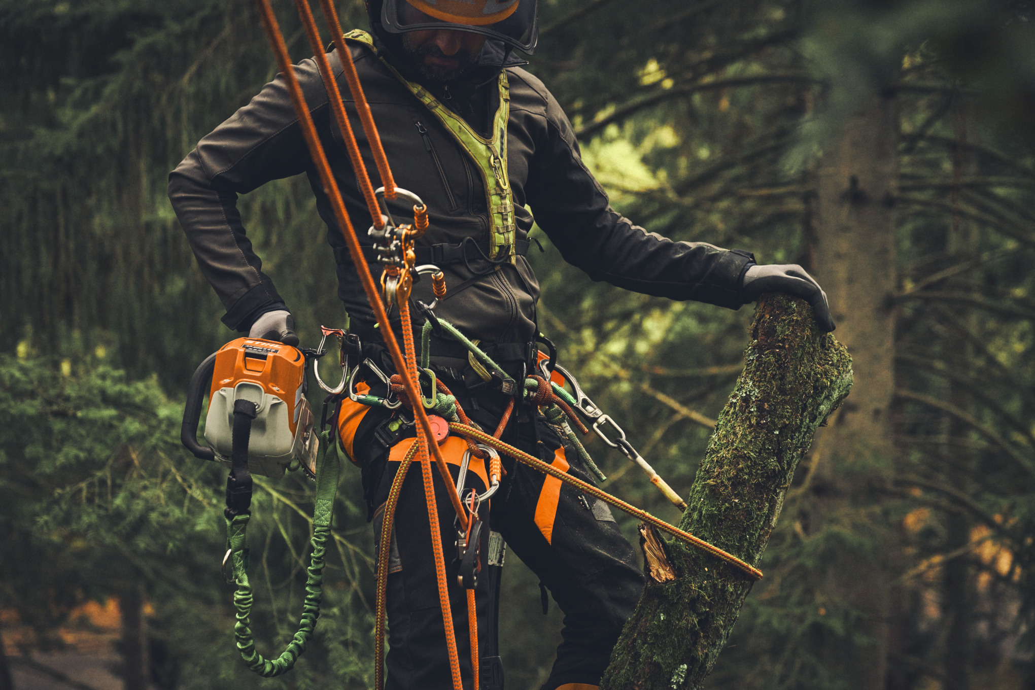 Ein Baumpfleger hängt an einem Seil im Baum mit einer MSA 220 T von STIHL in Hand