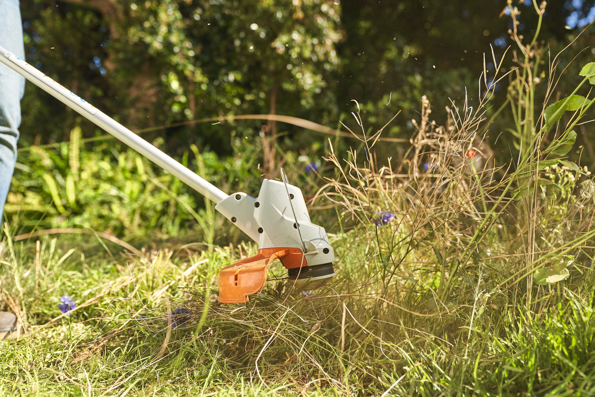 Nahaufnahme, wie jemand mit der Akku-Motorsense STIHL FSA 57 eine Wildblumenwiese mäht  