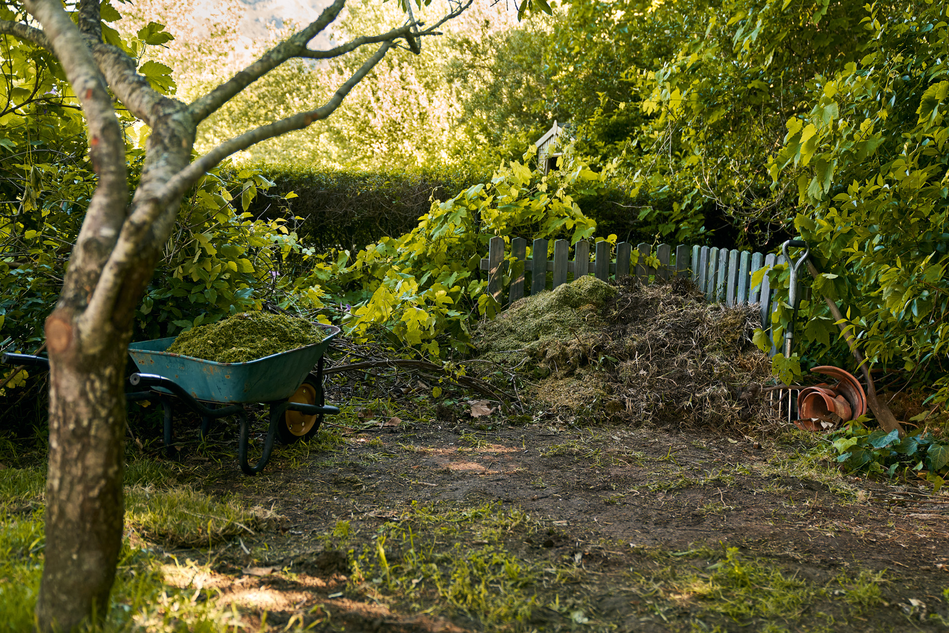 Schubkarre mit Gartenabfällen neben Komposthaufen