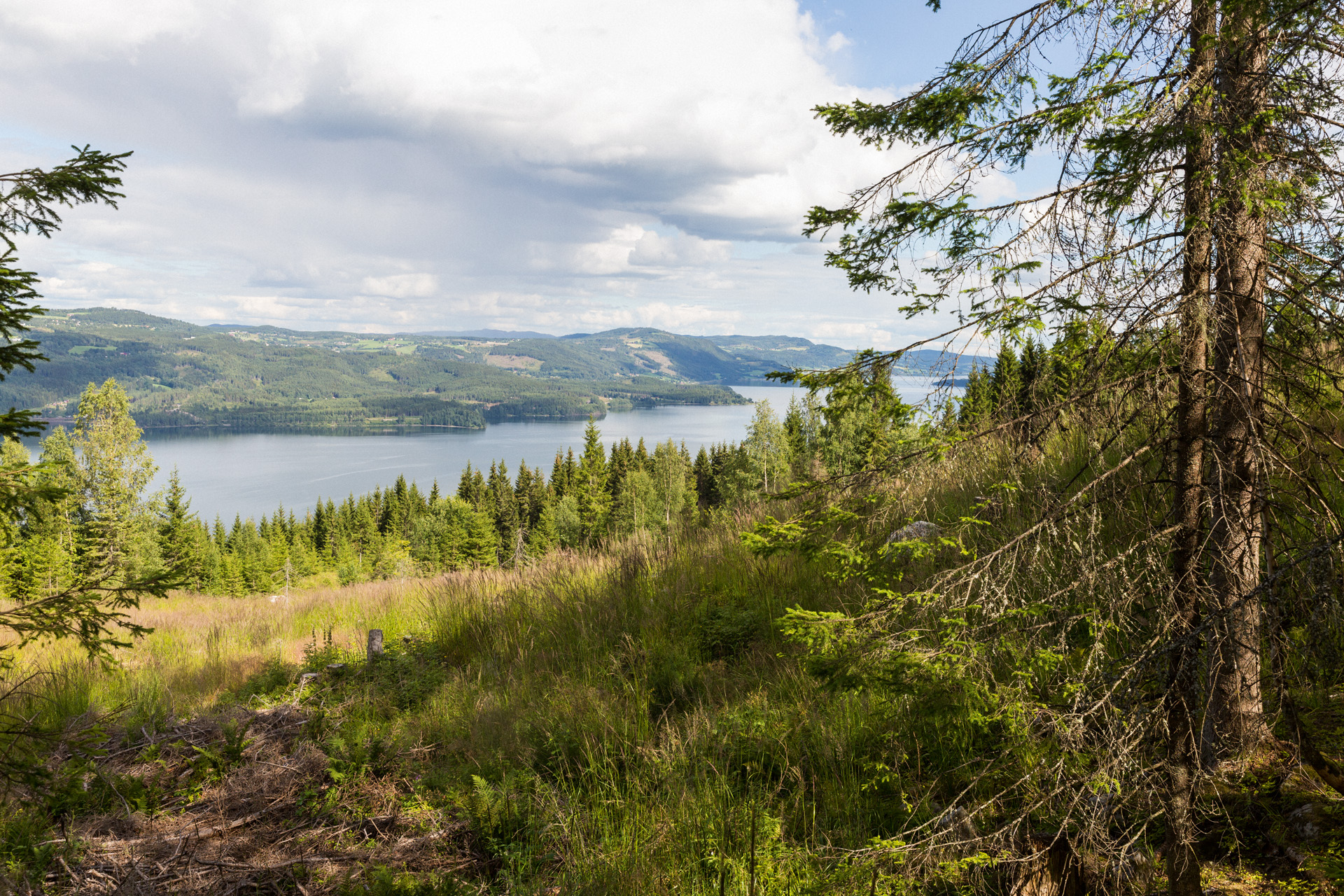 Landschaft mit Wald im Vordergrund und einem See im Hintergrund