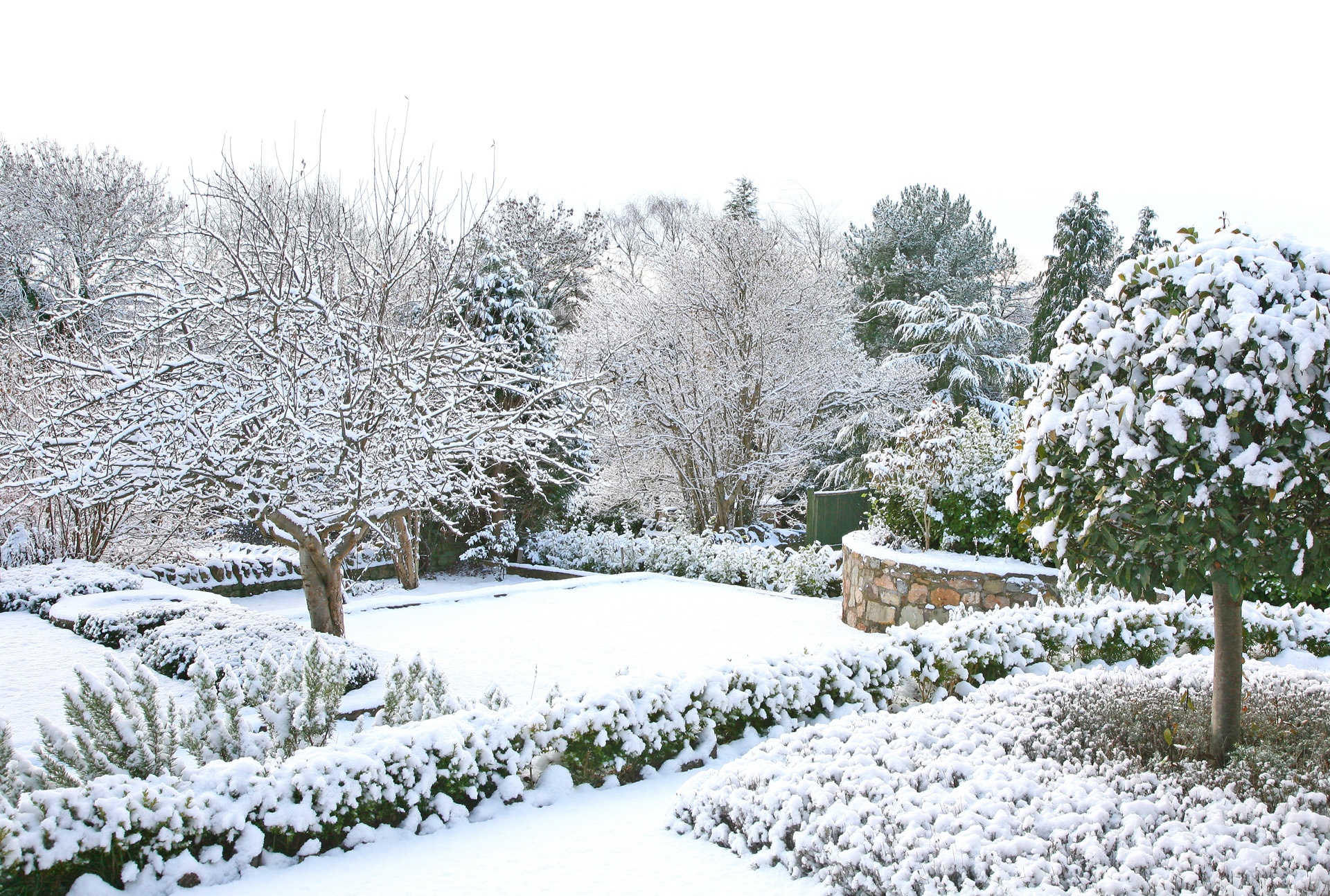Garten im Winter mit verschneiten Bäumen und Hecken