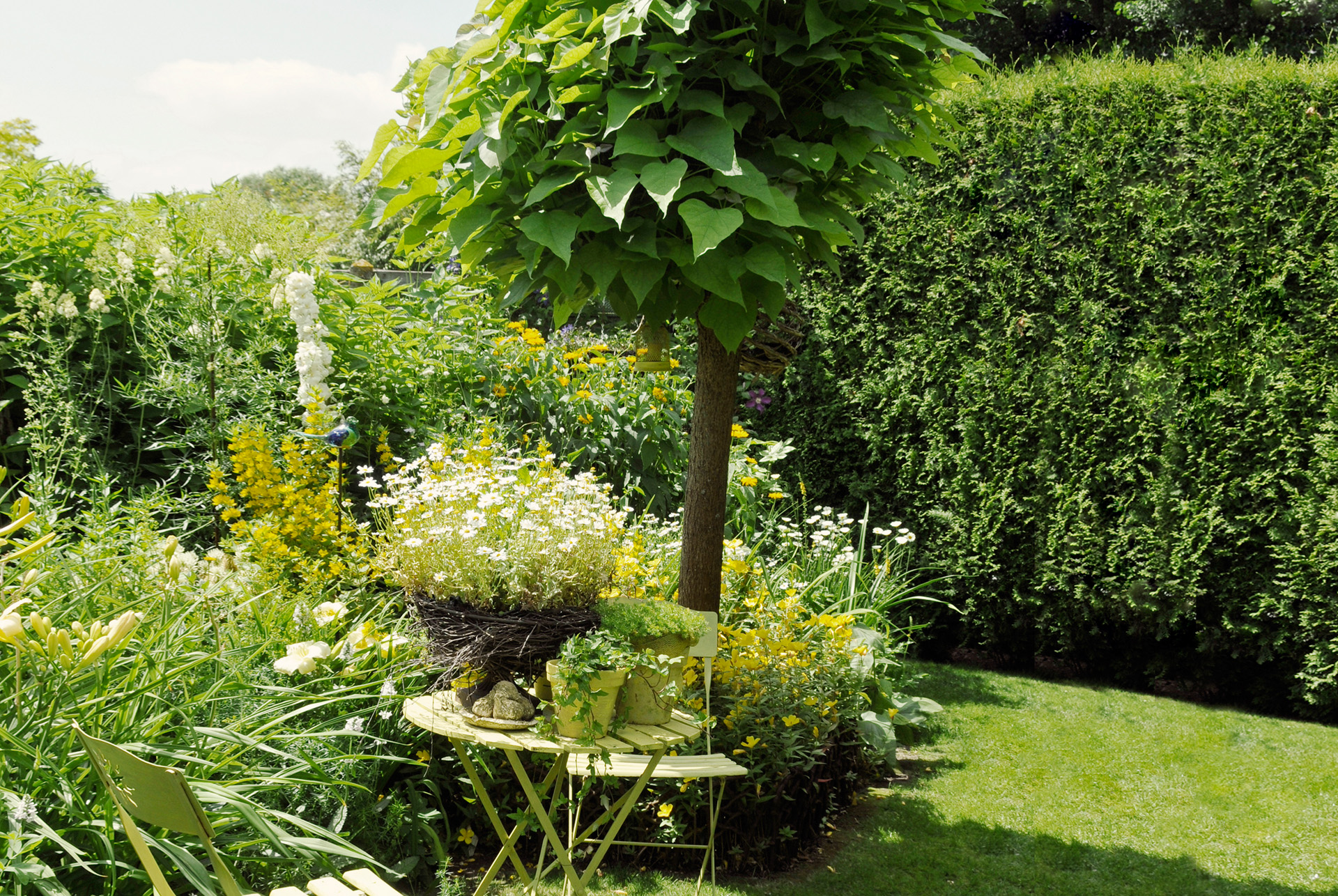 Kleiner Garten mit Rasenfläche, Gartenmöbeln und Pflanzenkübeln vorne und Trompetenbaum, säulenförmigen Sträuchern hinten.