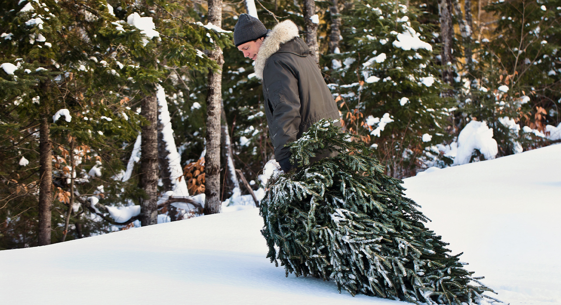 Mann mit Mütze und Winterjacke zieht einen Weihnachtsbaum nach dem Selberschlagen durch einen verschneiten Wald