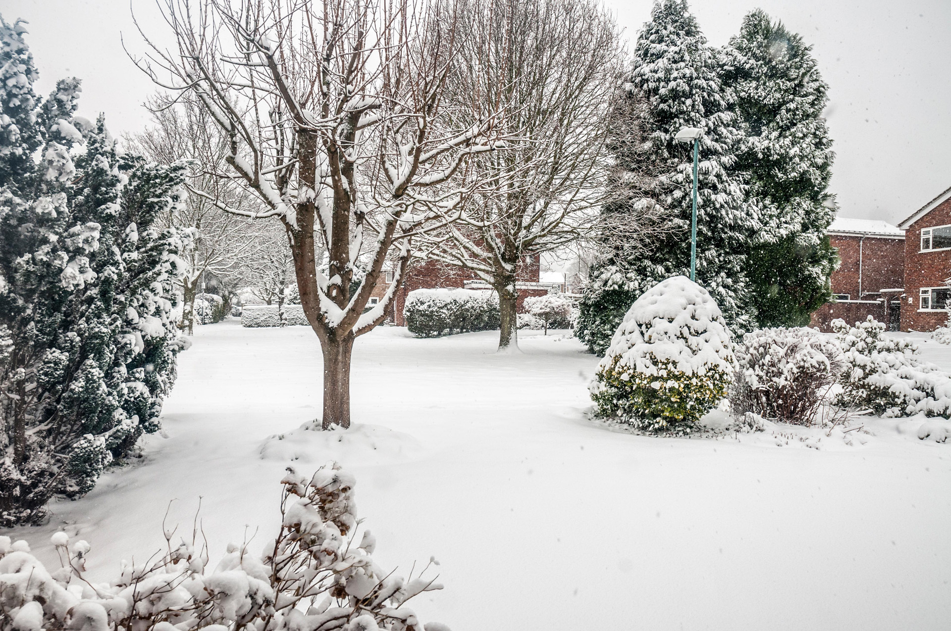 Bei diesem Garten mit schneebedeckten Bäumen und Büschen braucht es nicht viel Rasenpflege im Winter