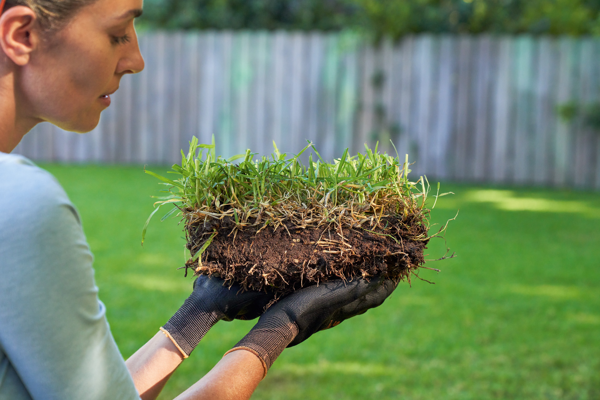 Frau hält Stück Rasen vor der Bodenverbesserung in der Hand, im Hintergrund grüner Rasen und Gartenzaun 