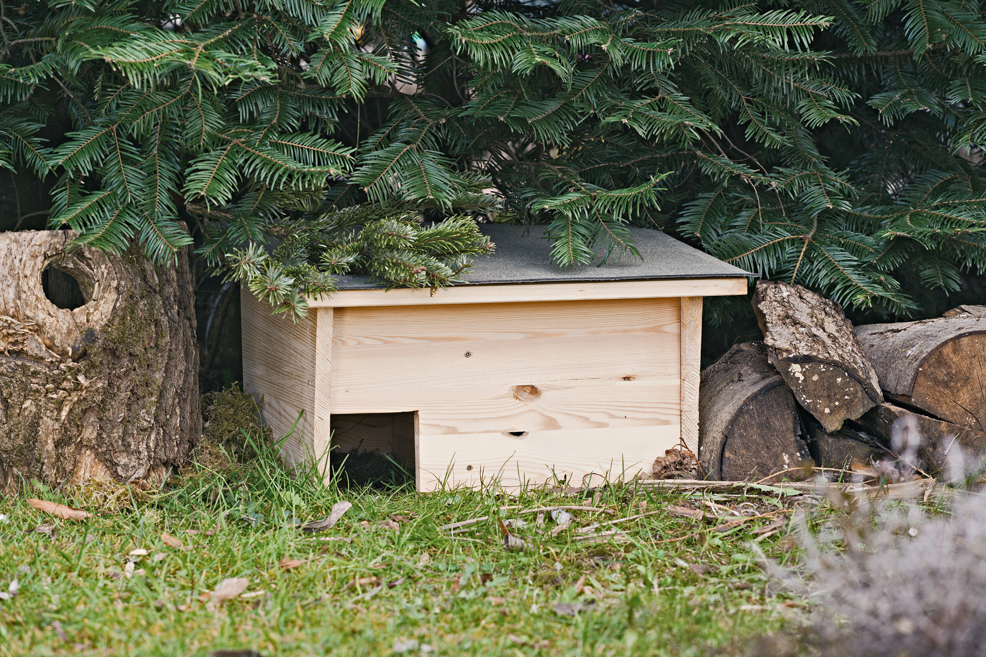 Selbstgebautes Igelhaus in einem Garten unter einer Tanne