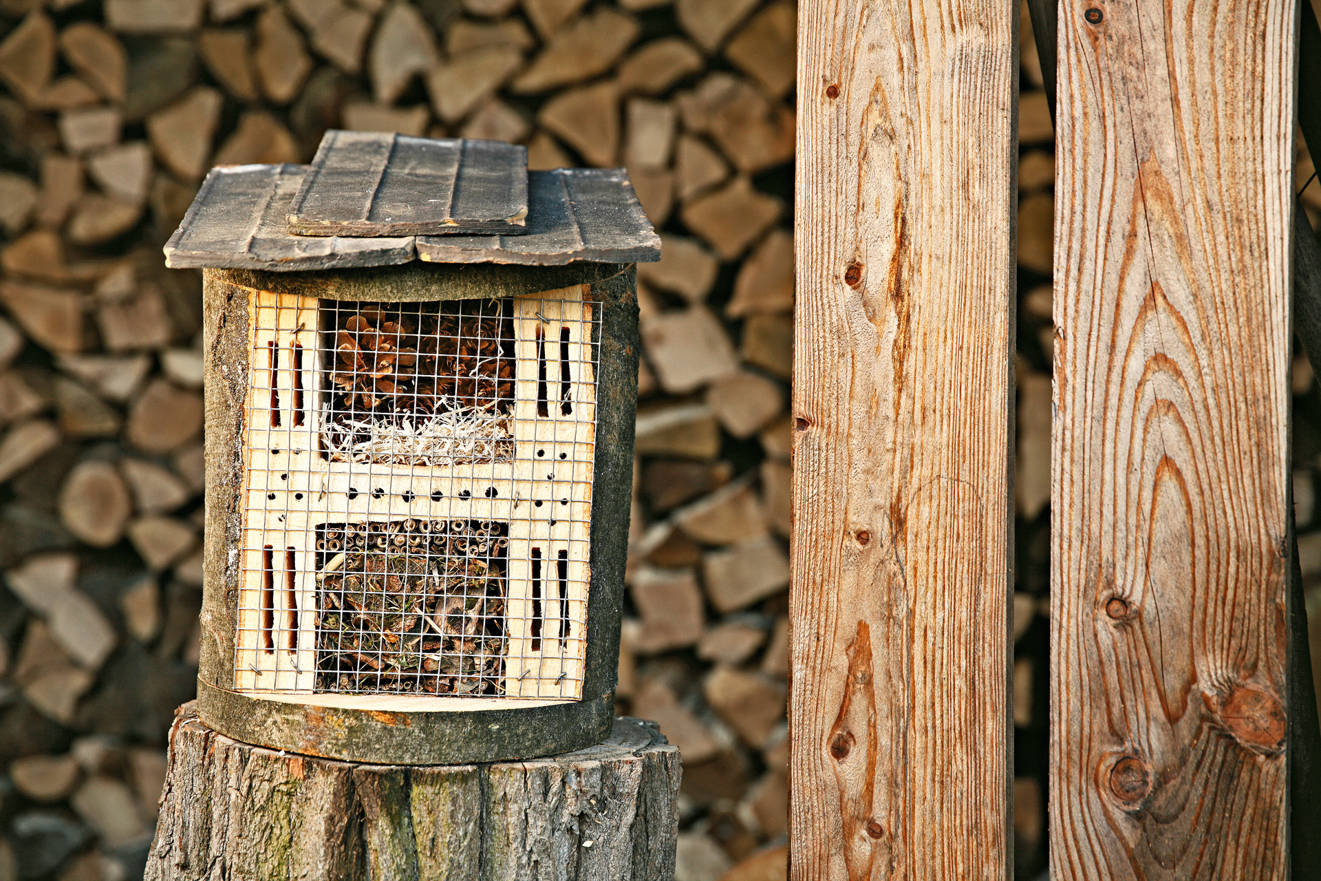 Fertiggestelltes Insektenhotel zum Selberbauen auf einem Baumstumpf