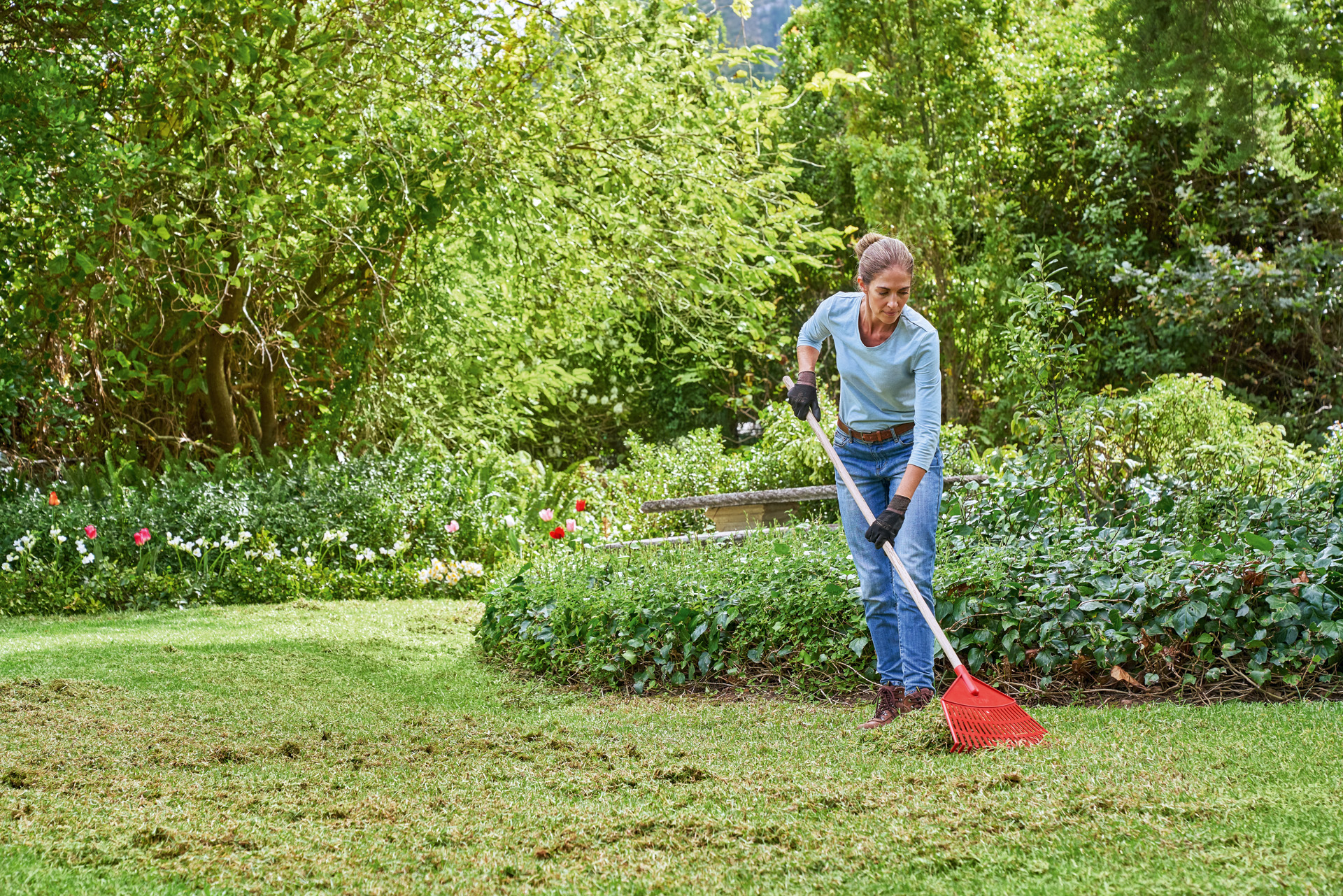 Frau betreibt Rasenpflege im Frühjahr und harkt abgeschnittenes Gras in ihrem Garten zusammen