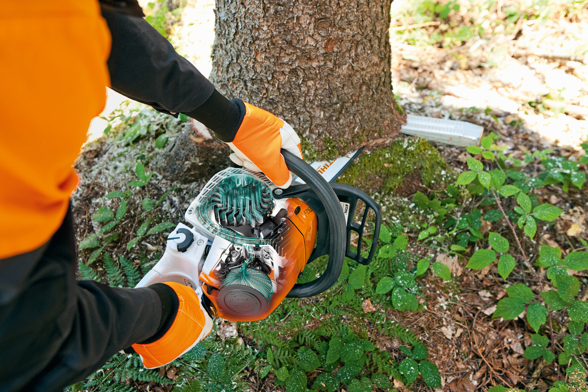 Baumstamm wird mit STIHL Kettensäge MS 241 zersägt