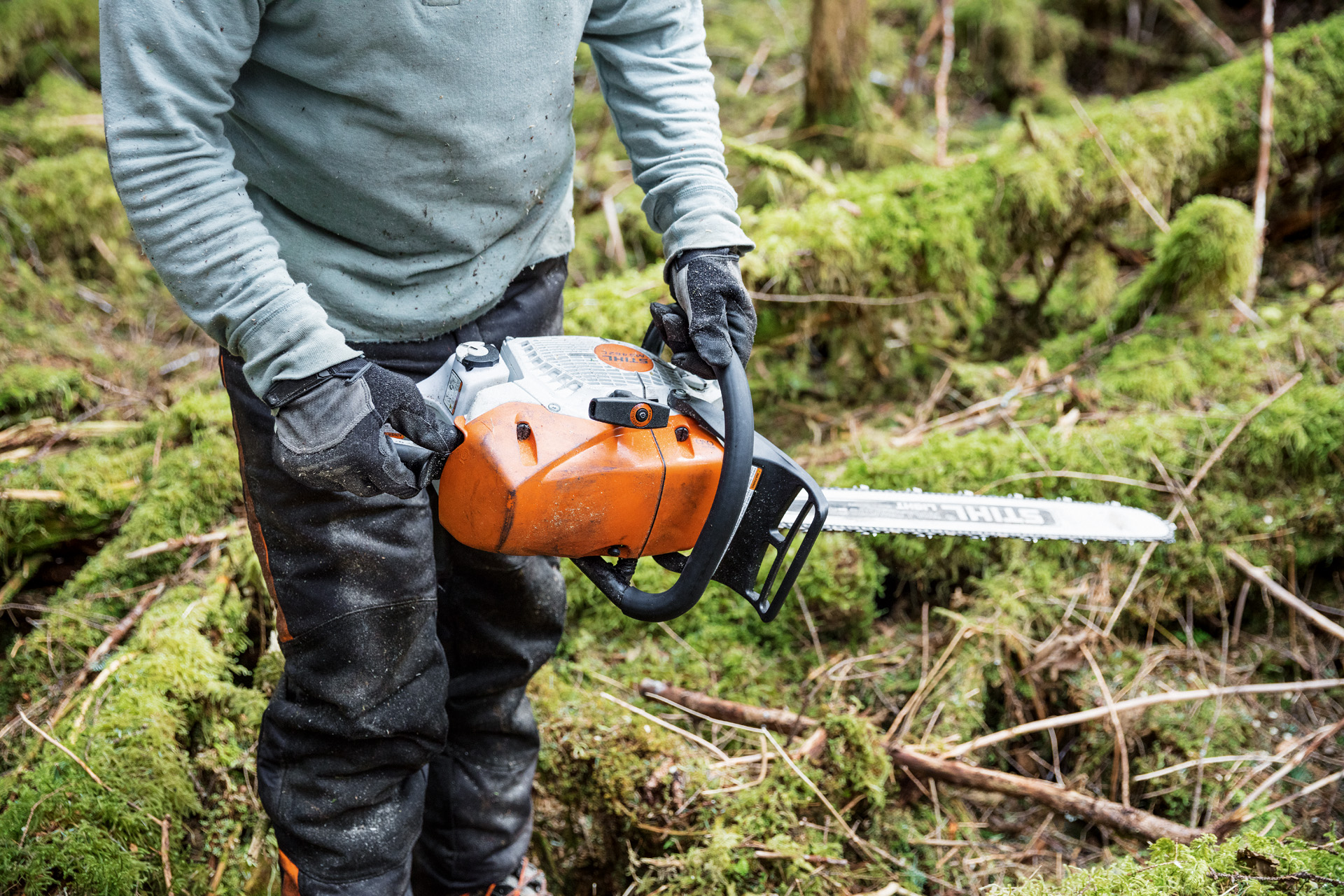 Person mit STIHL Benzin-Kettensäge MS 462 C-M mit Vergaserheizung im Wald zwischen moosbedeckten Baumstämmen