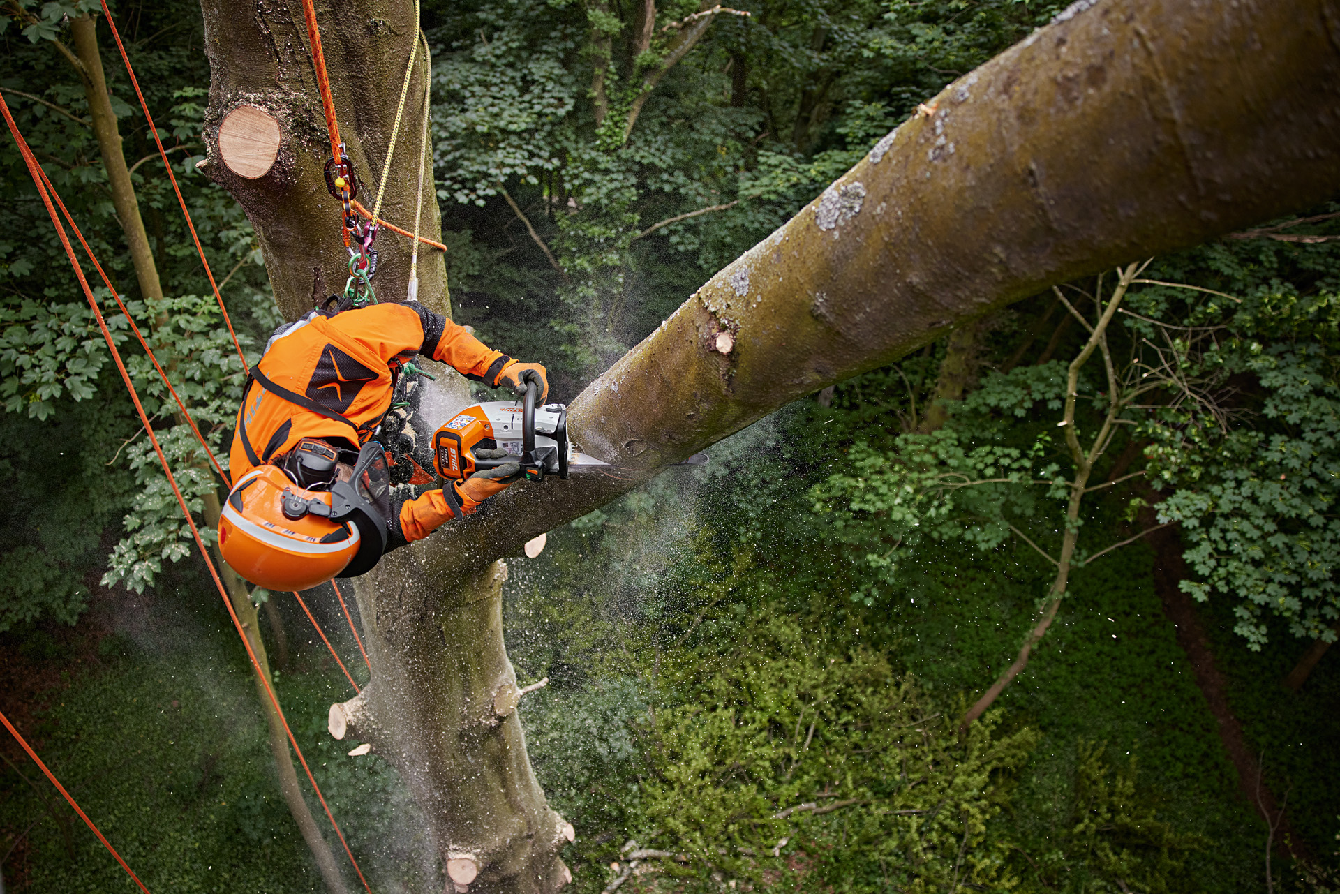 Baumpfleger sägt Ast mit STIHL MSA 220TC