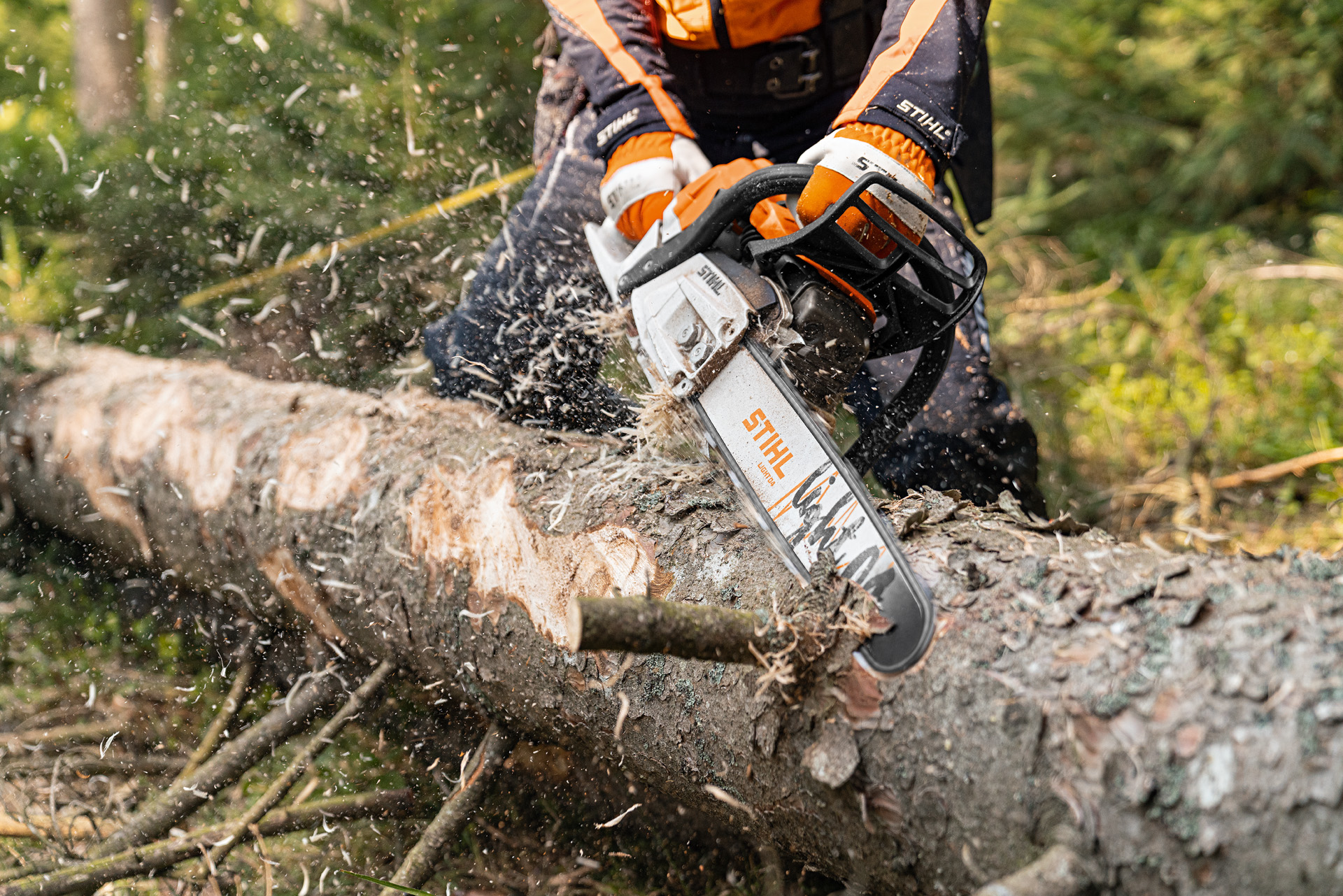 Stamm wird mit STIHL Benzin-Kettensäge MS 261 C-M mit 2-Mix-Motor und Führungsschiene Light 04 im Wald entrindet