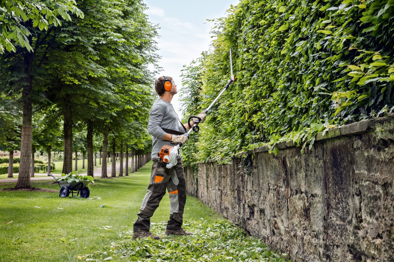 Hecke schneiden So gelingt der Heckenschnitt STIHL