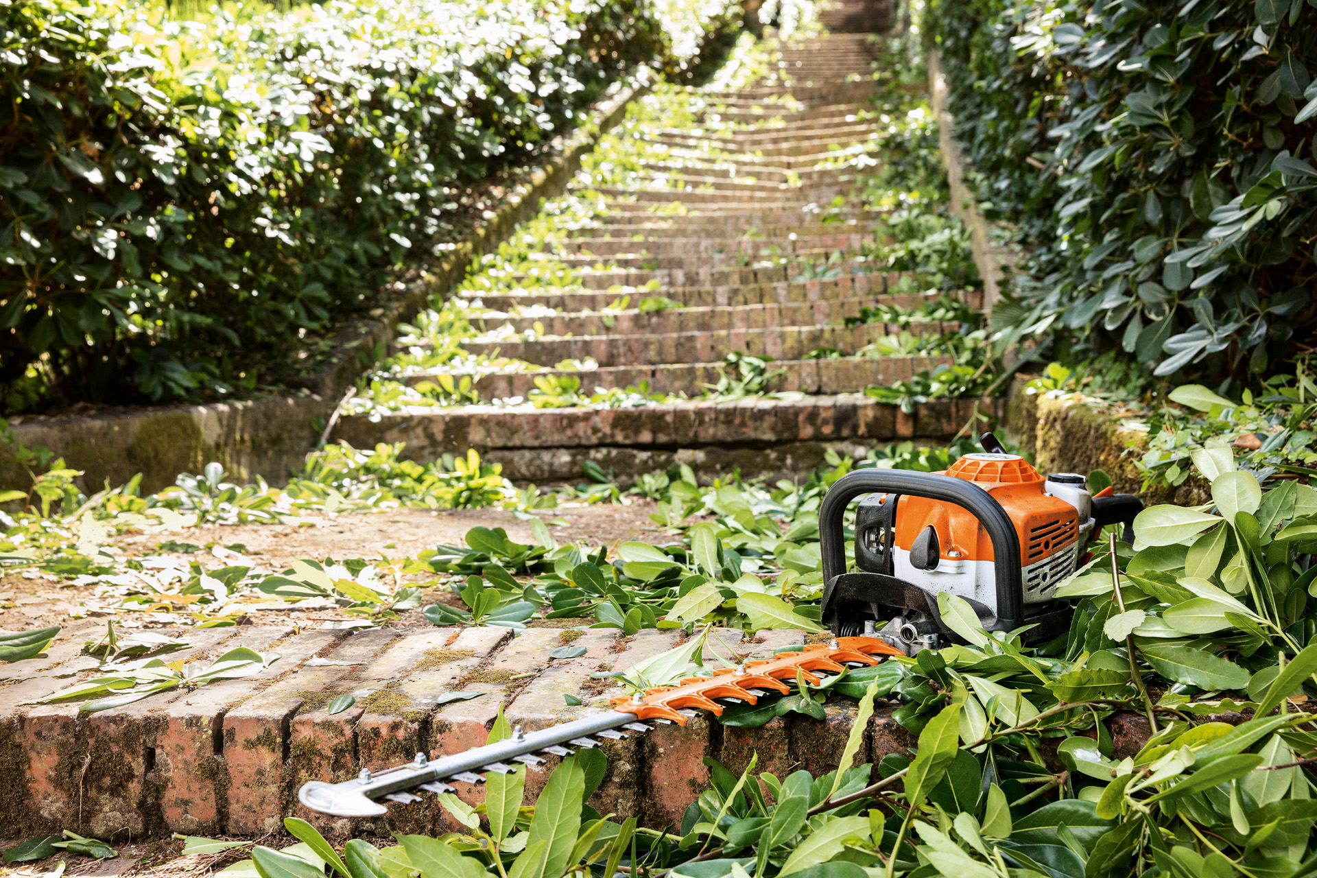 STIHL Benzin-Heckenschere HS 82 T liegt vor der Wartung zwischen grünen Blättern auf einer Treppe