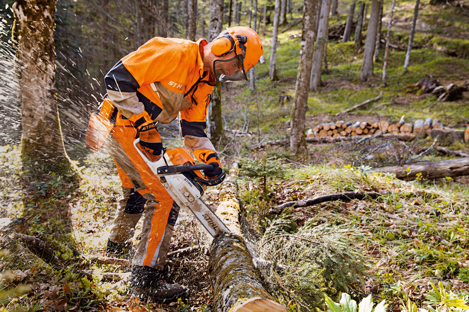 Waldarbeiter in STIHL Schutzkleidung samt Dynamic Vent Hose (Schnittschutzklasse 1) sägt Baum im Wald mit STIHL Motorsäge