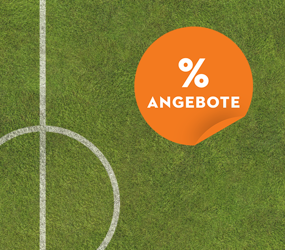 Rasenmäher Aktion STIHL