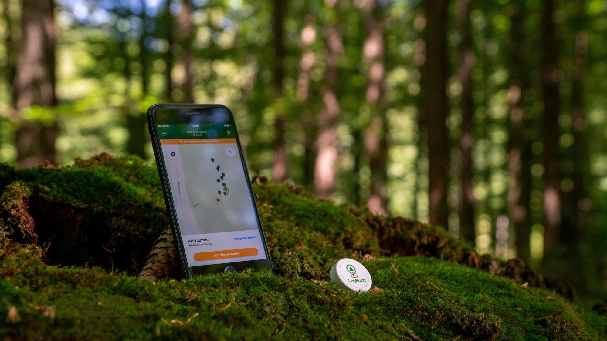 Smartphone auf Waldboden, auf dem Display das STIHL LogBuch zur Geolokalisierung 