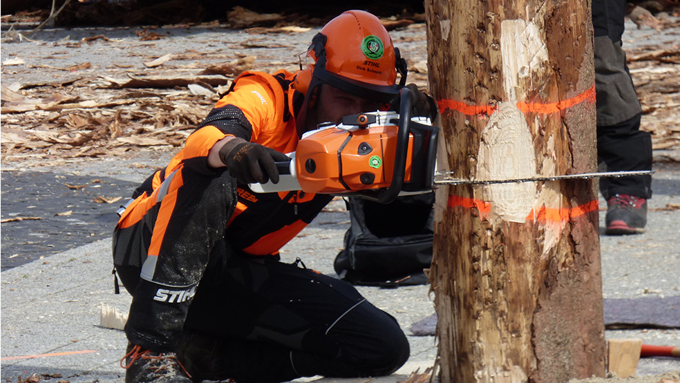 Teilnehmer der Waldarbeitsmeisterschaften beim Fällen eines Baums mit einer STIHL Motorsäge