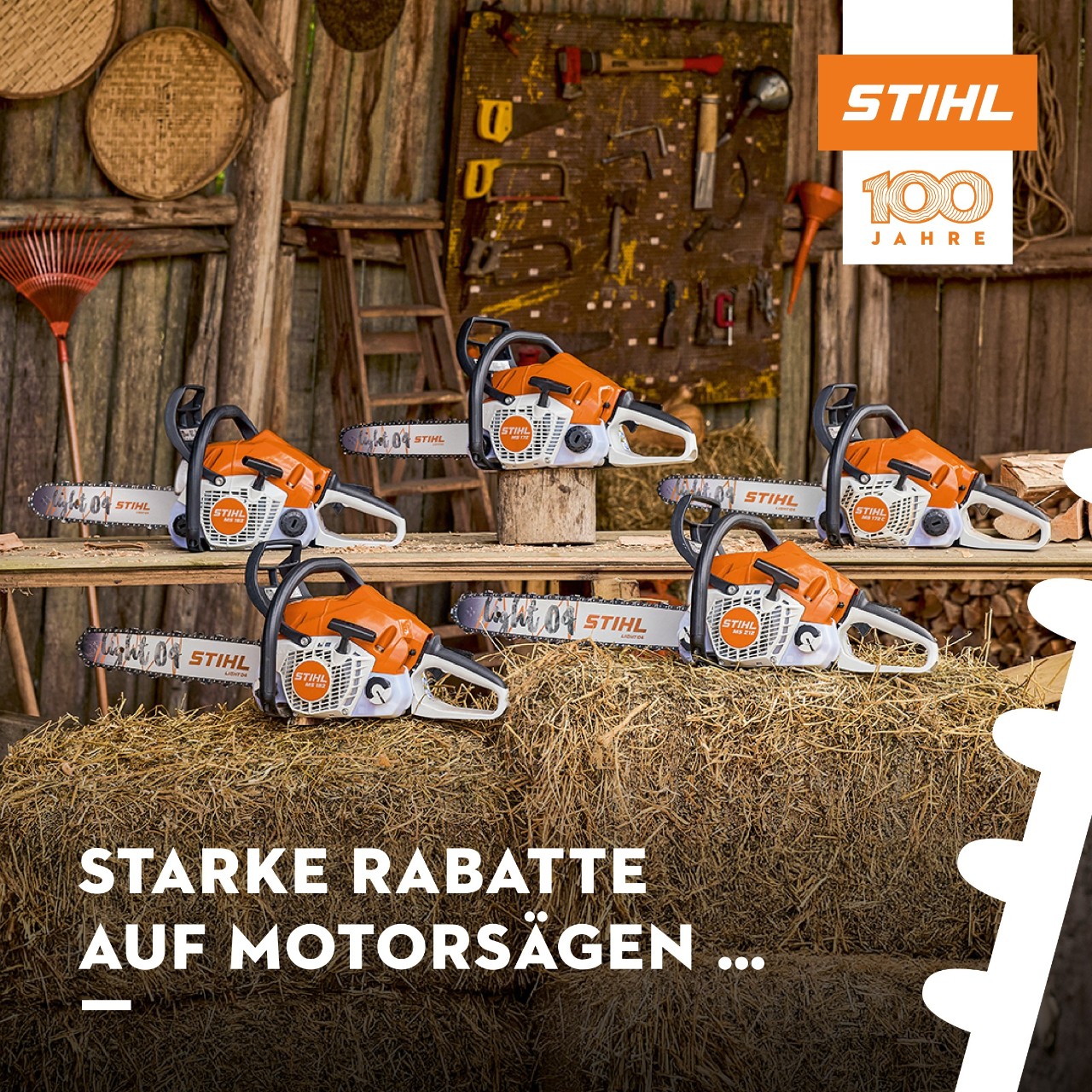 Starke Rabatte auf Motorsägen