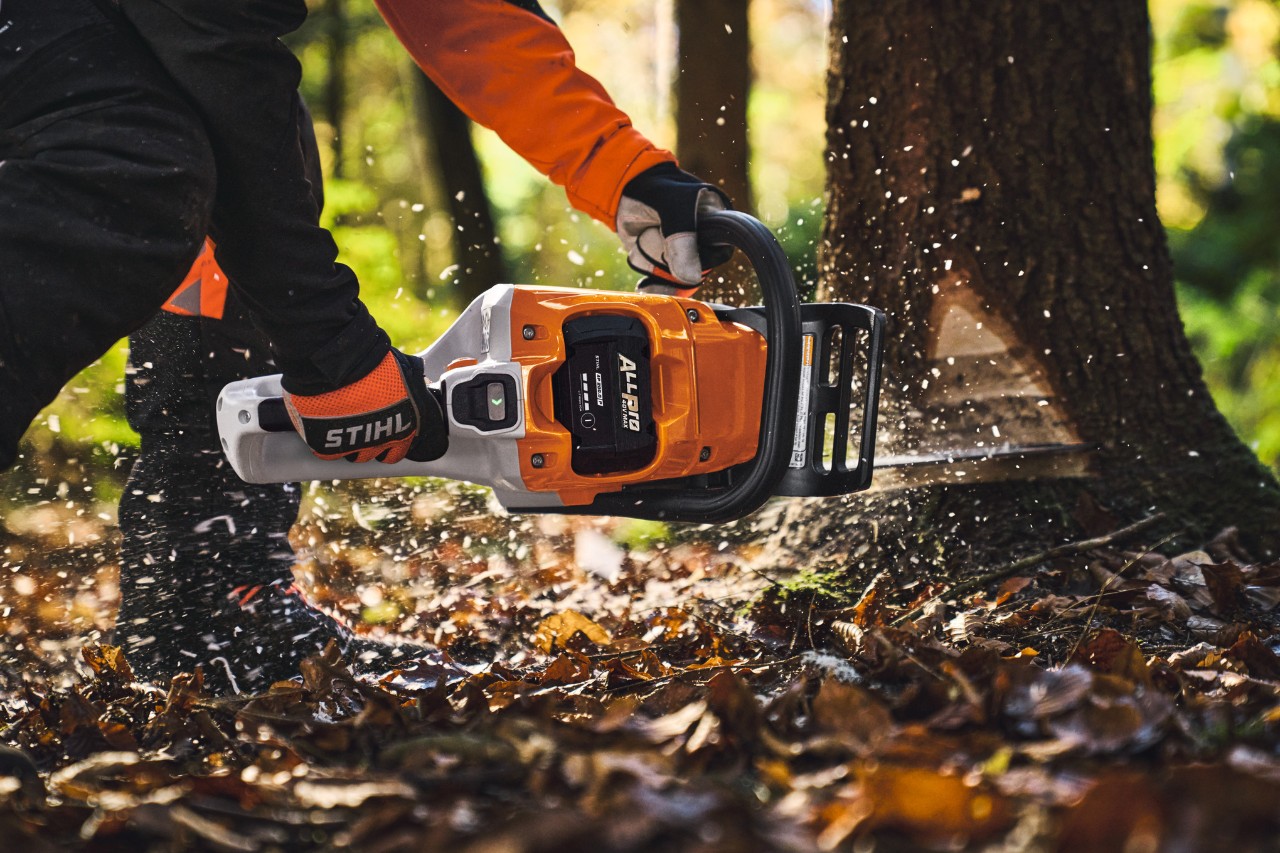 Professionelle Anwenderin fällt im Wald Bäume mit der Akku-Kettensäge STIHL MSA 260.