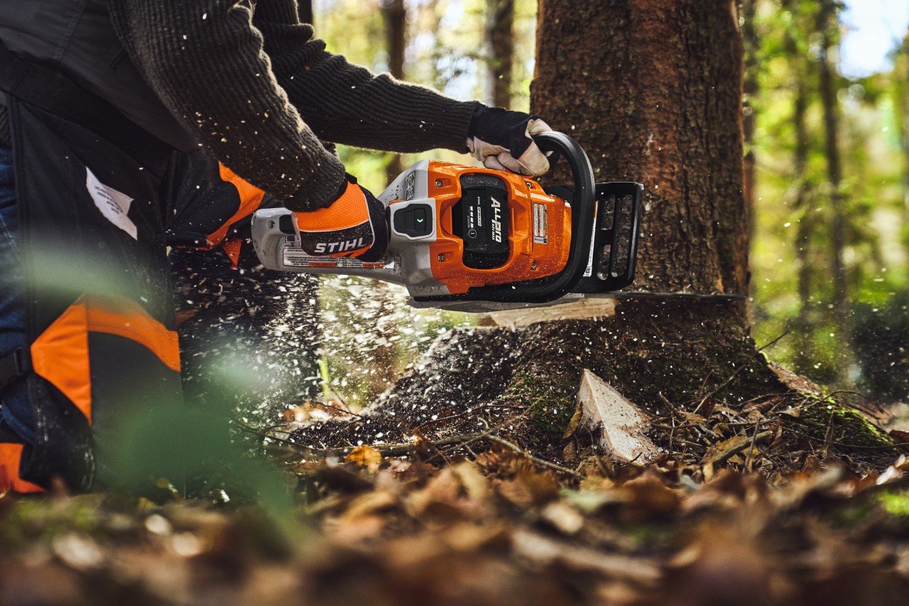 Baumfällarbeiten mit der STIHL ALLPRO Kettensäge MSA 260