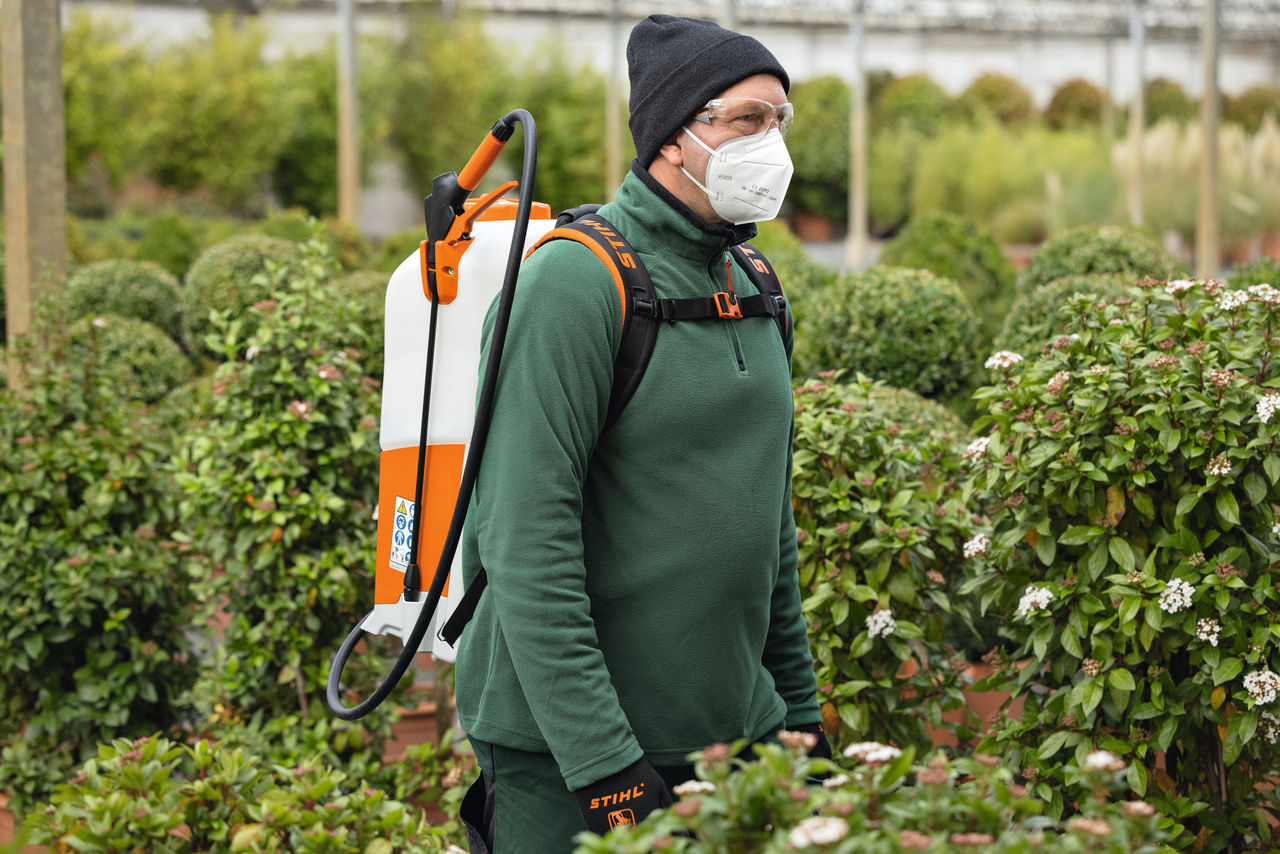 Mann steht in einem Gewächshaus voller kleiner Heckenpflanzen mit dem STIHL akkubetriebenen Rucksacksprühgerät SGA 85 auf dem Rücken